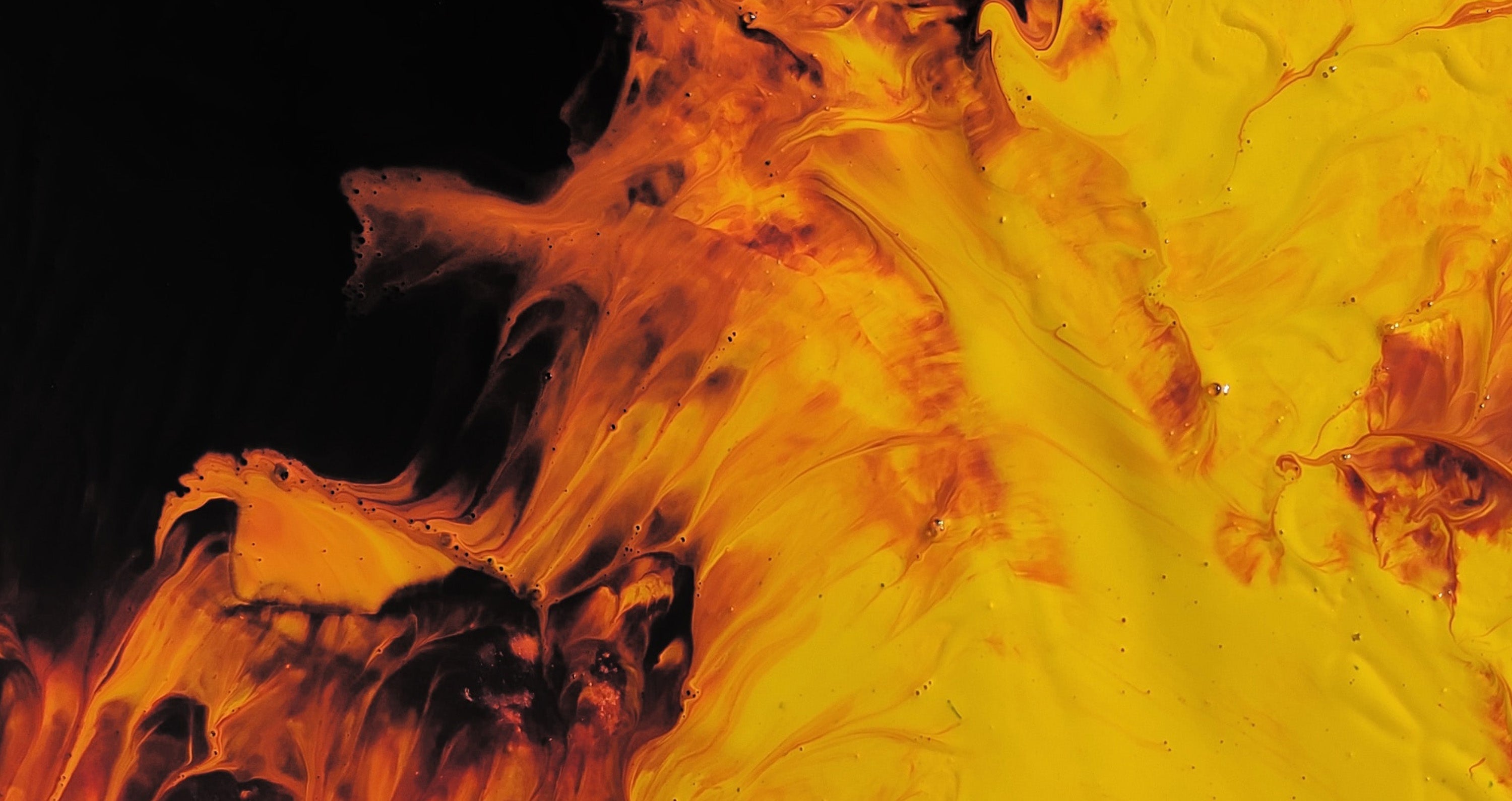 Supporting Our Community: Opus' Wildfire Relief Fundraiser