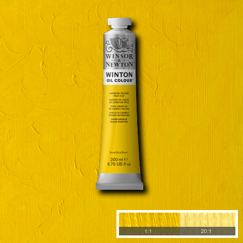 Winton Oil Colours - White or Yellow