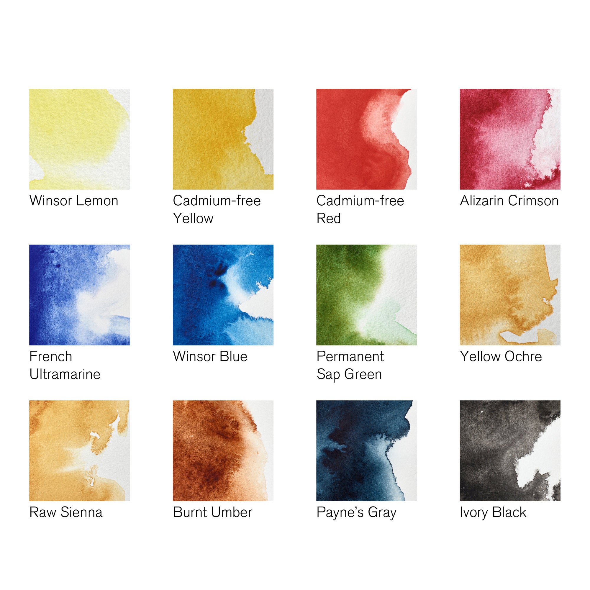 Winsor & Newton Professional Watercolour Set of 12 Customizable Travel Tin