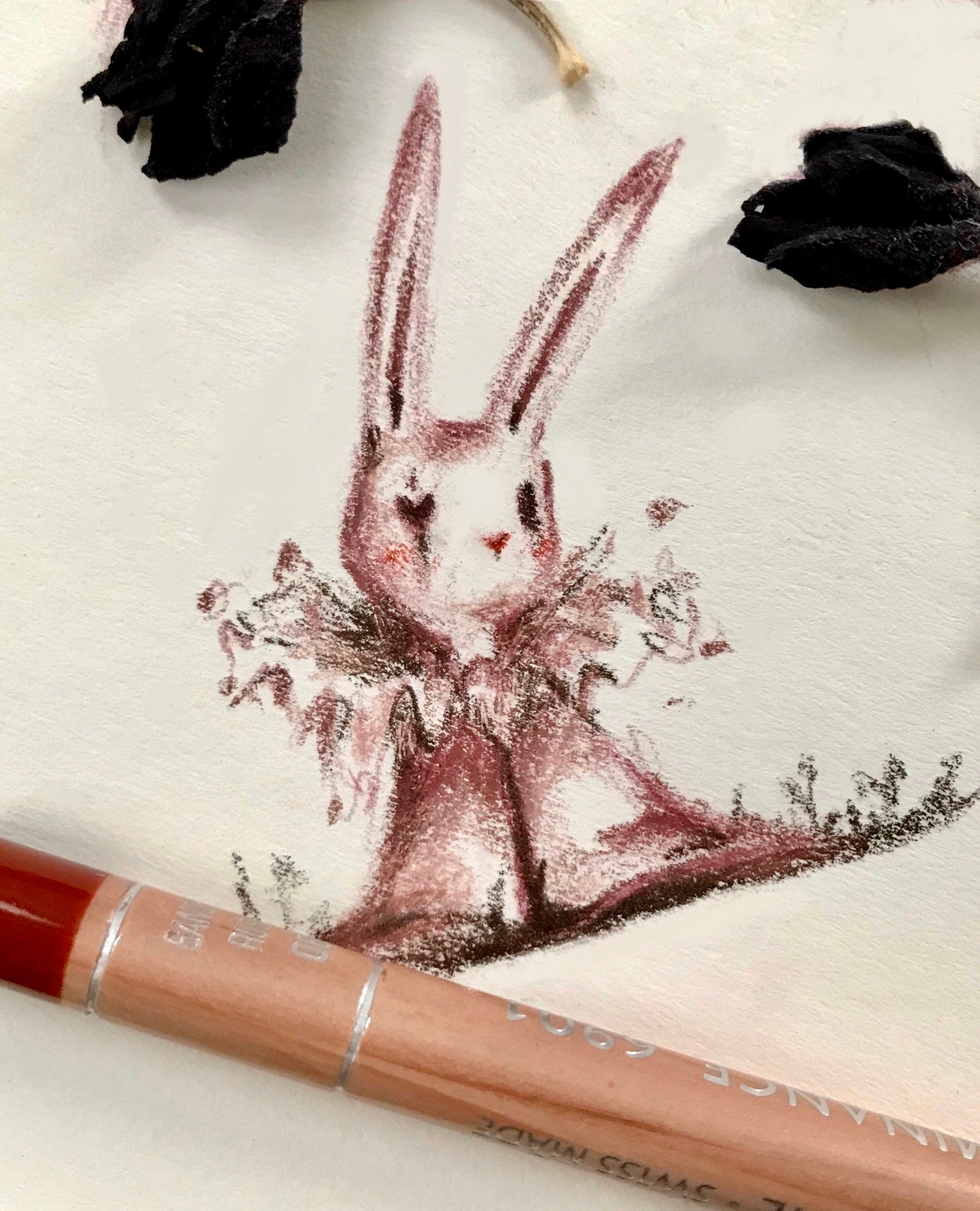 Discover Caran d'Ache with Poli Garrido!