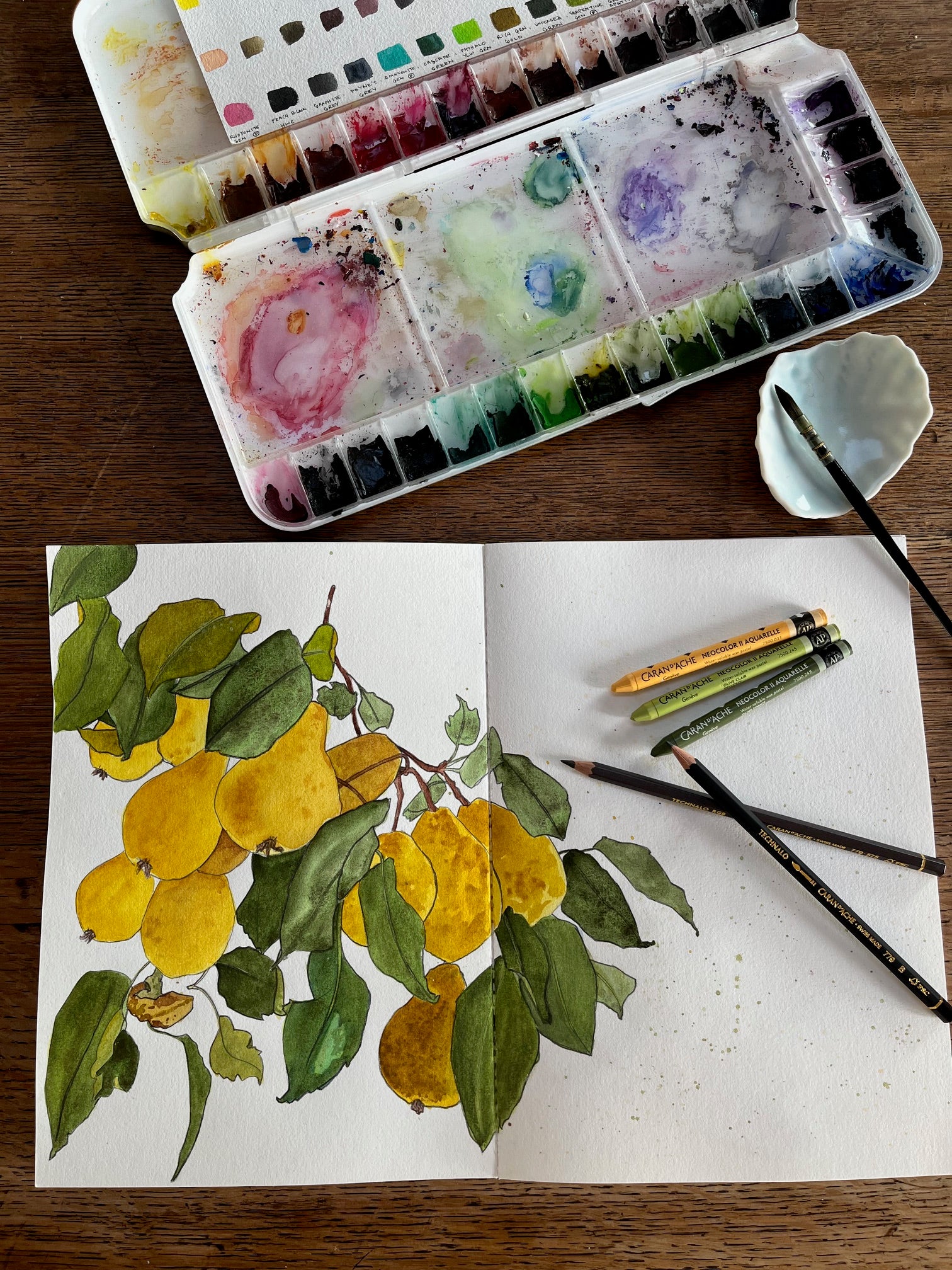 Discover Caran d'Ache with Megan Roberts