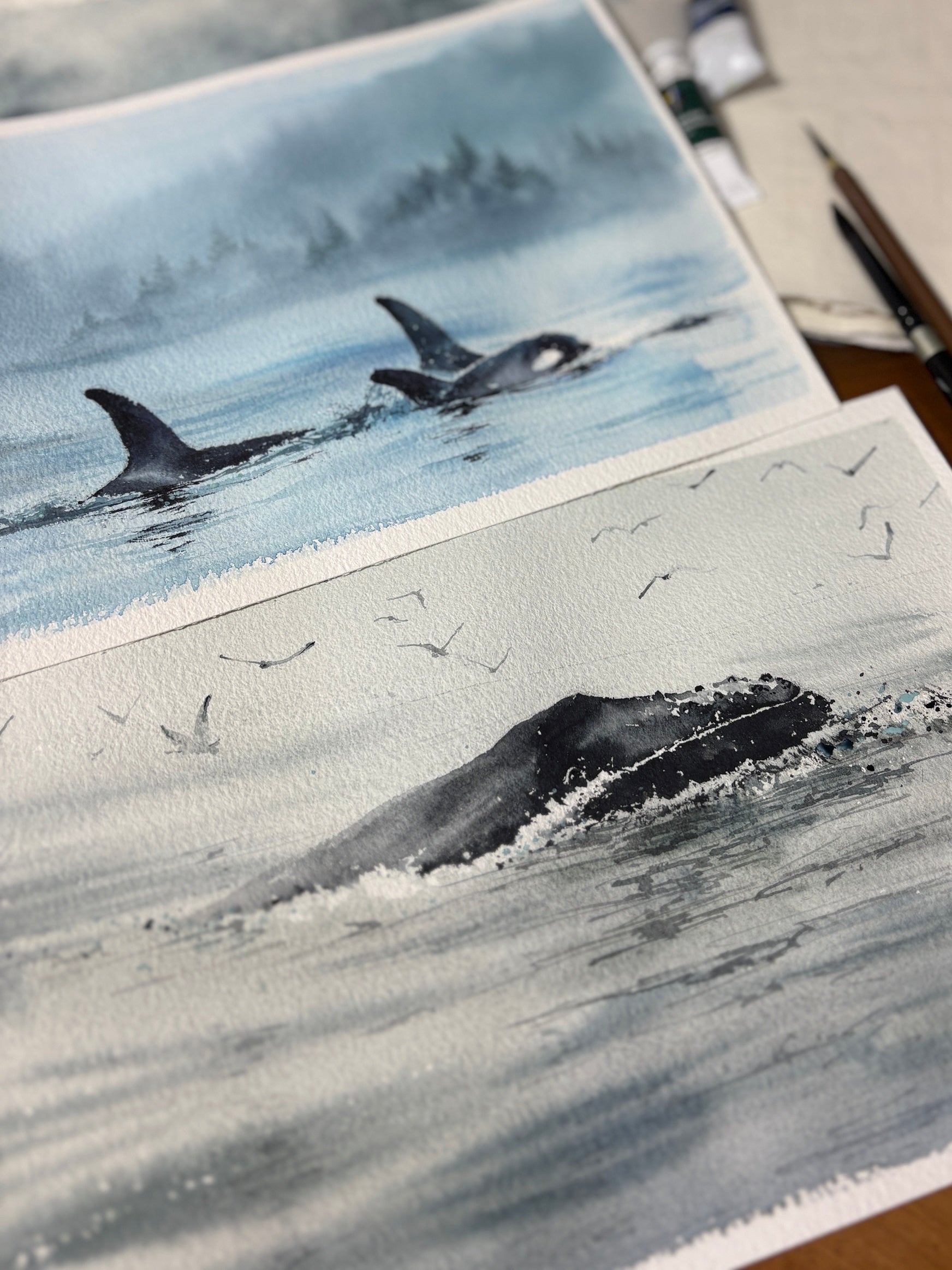 Opus Essential Watercolours: Misty Whales with Elena Markelova