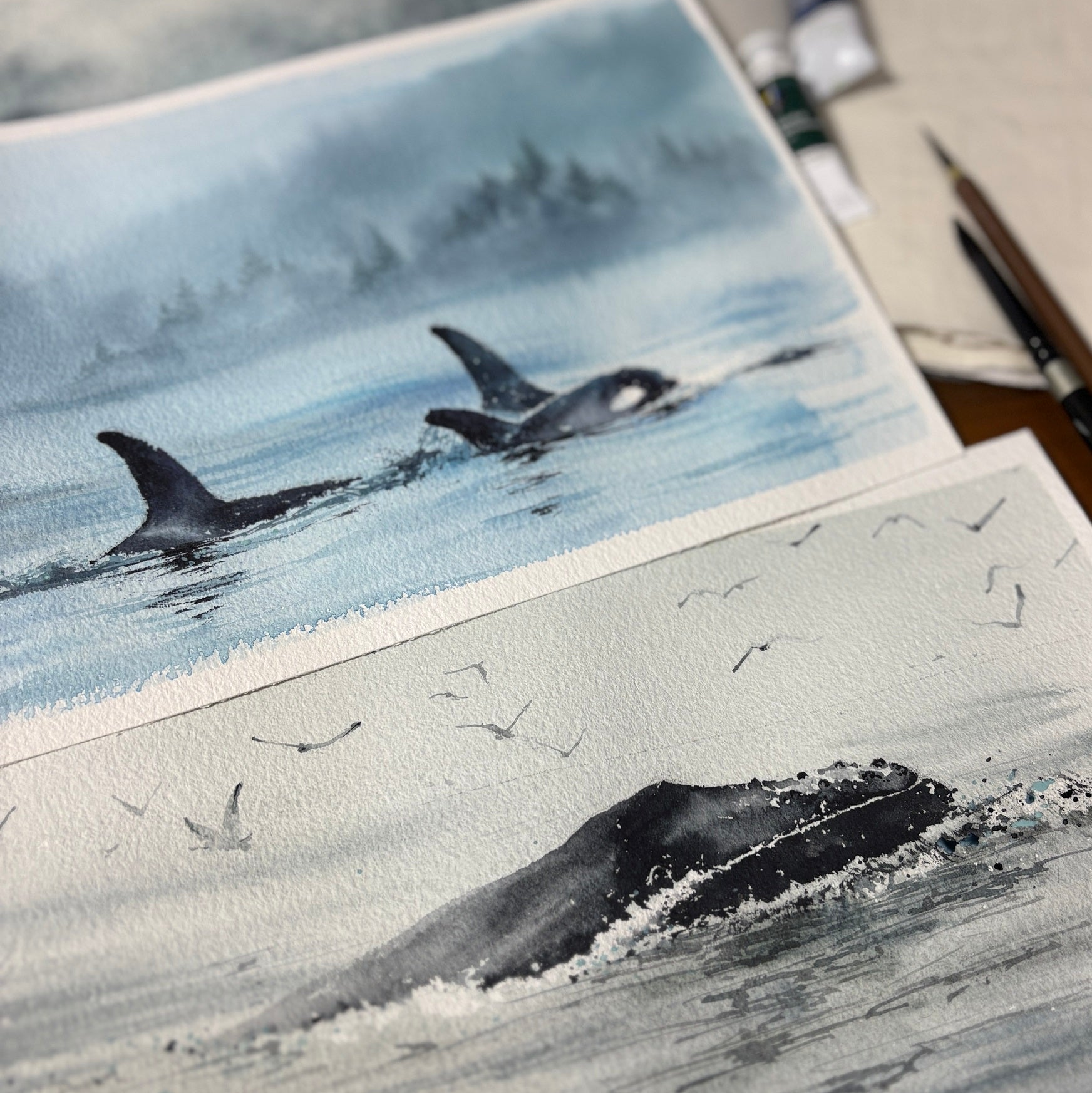 Opus Essential Watercolours: Misty Whales with Elena Markelova