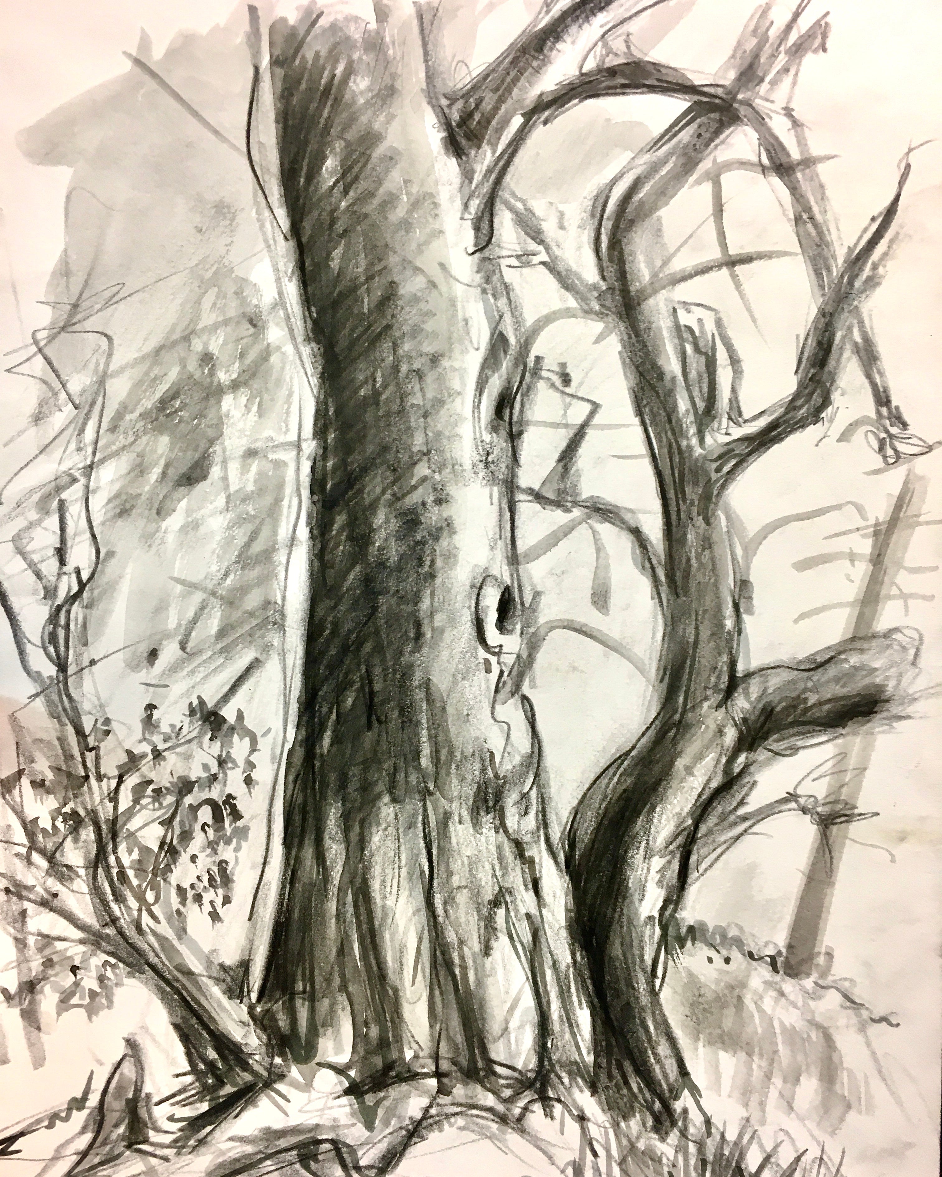 Caran d’Ache Watersoluble Materials with Adrian Weber