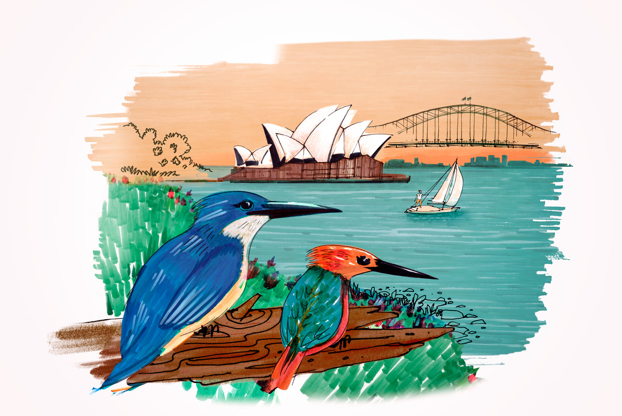 Faber-Castell Pitt Artist Pen City Set of 12 Sydney