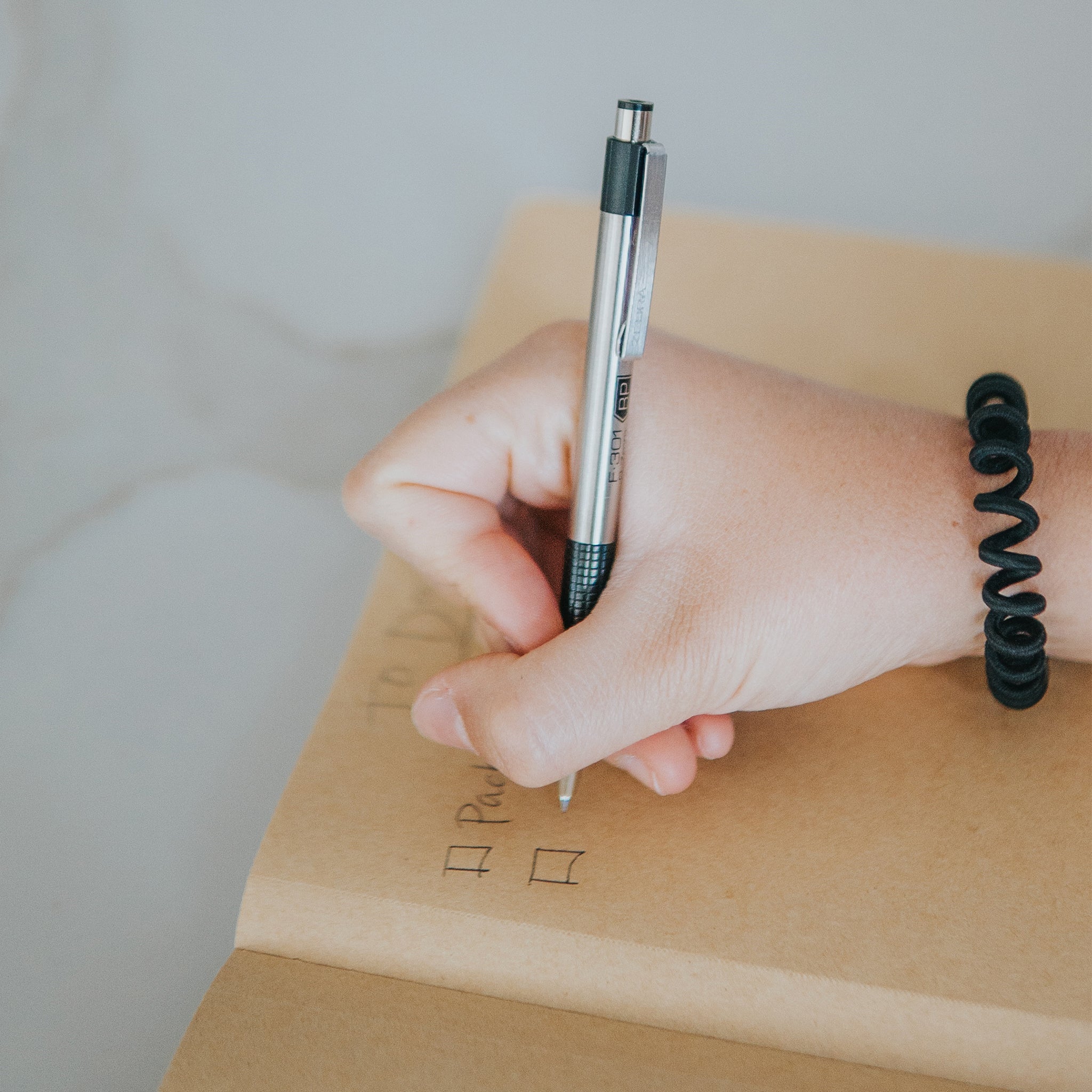 Zebra F-301 Ballpoint Retractable Pen (Black) 0.7mm