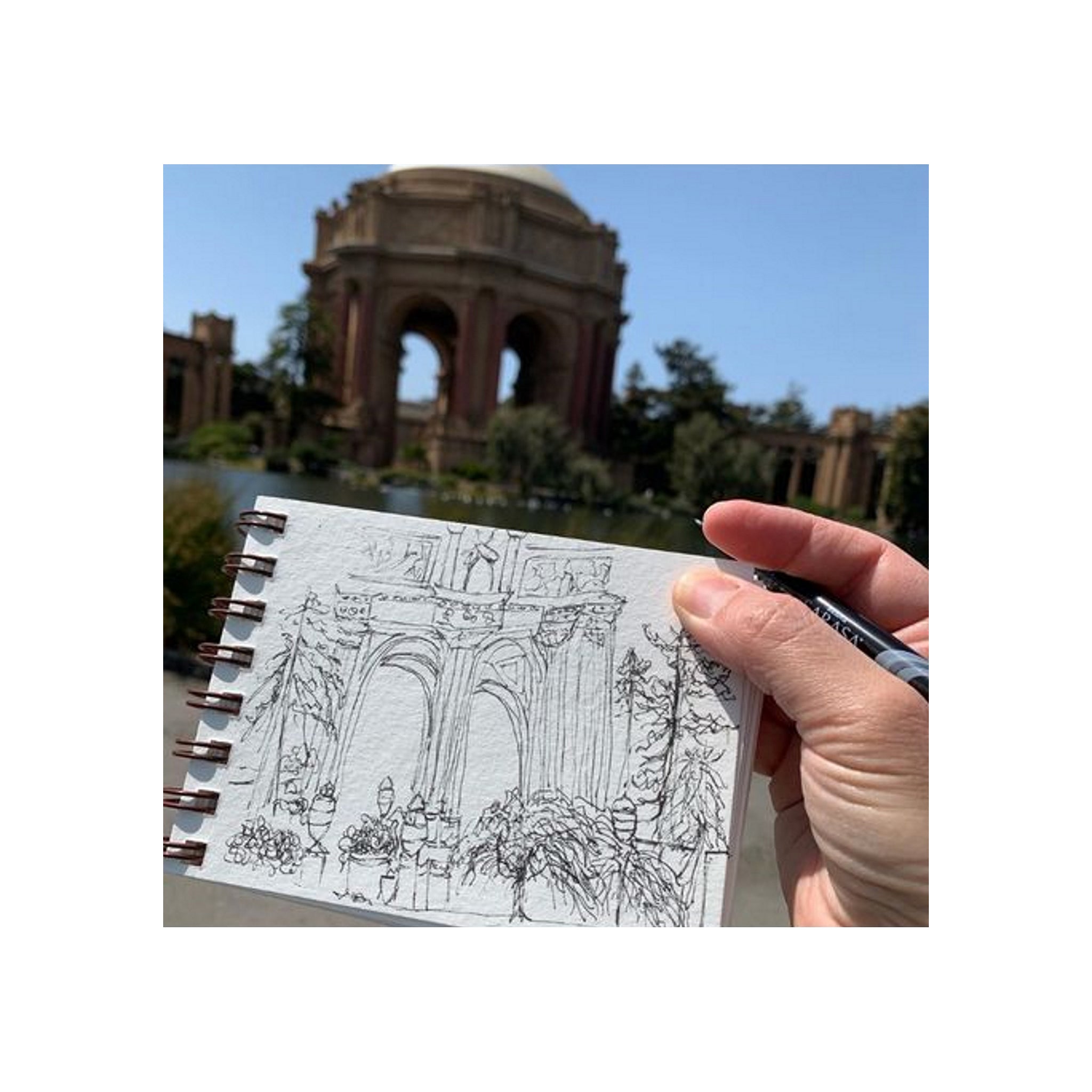 Zebra Sarasa - Porous Fineliner Set of 12