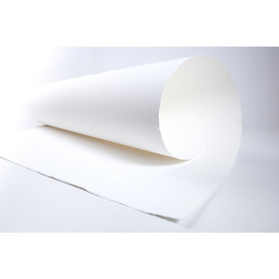 Winsor & Newton Professional Watercolour Paper - 22"x30" - Single Sheet