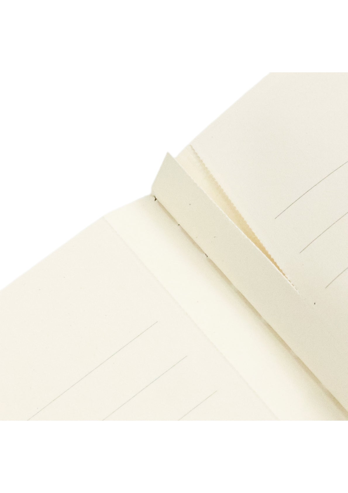 Paperblanks A4 Cahier Lined Journal - Firebird