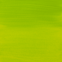 Amsterdam Acrylic Paint (Special Order) Yellowish Green 1L