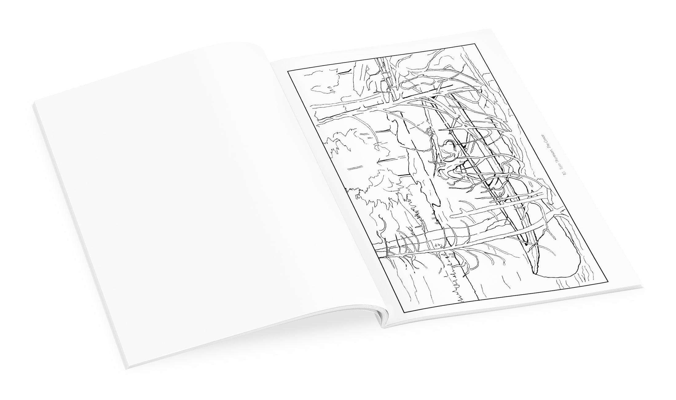 The Group of Seven Coloring Book