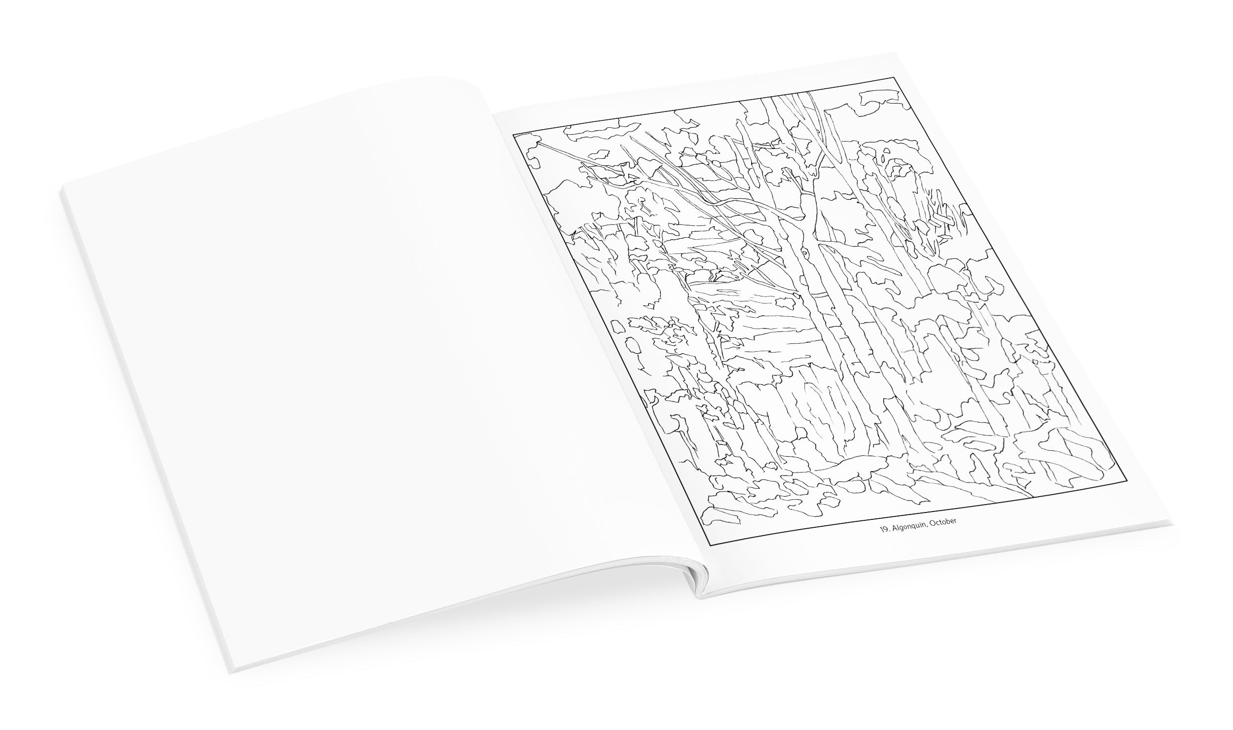 Tom Thomson Coloring Book