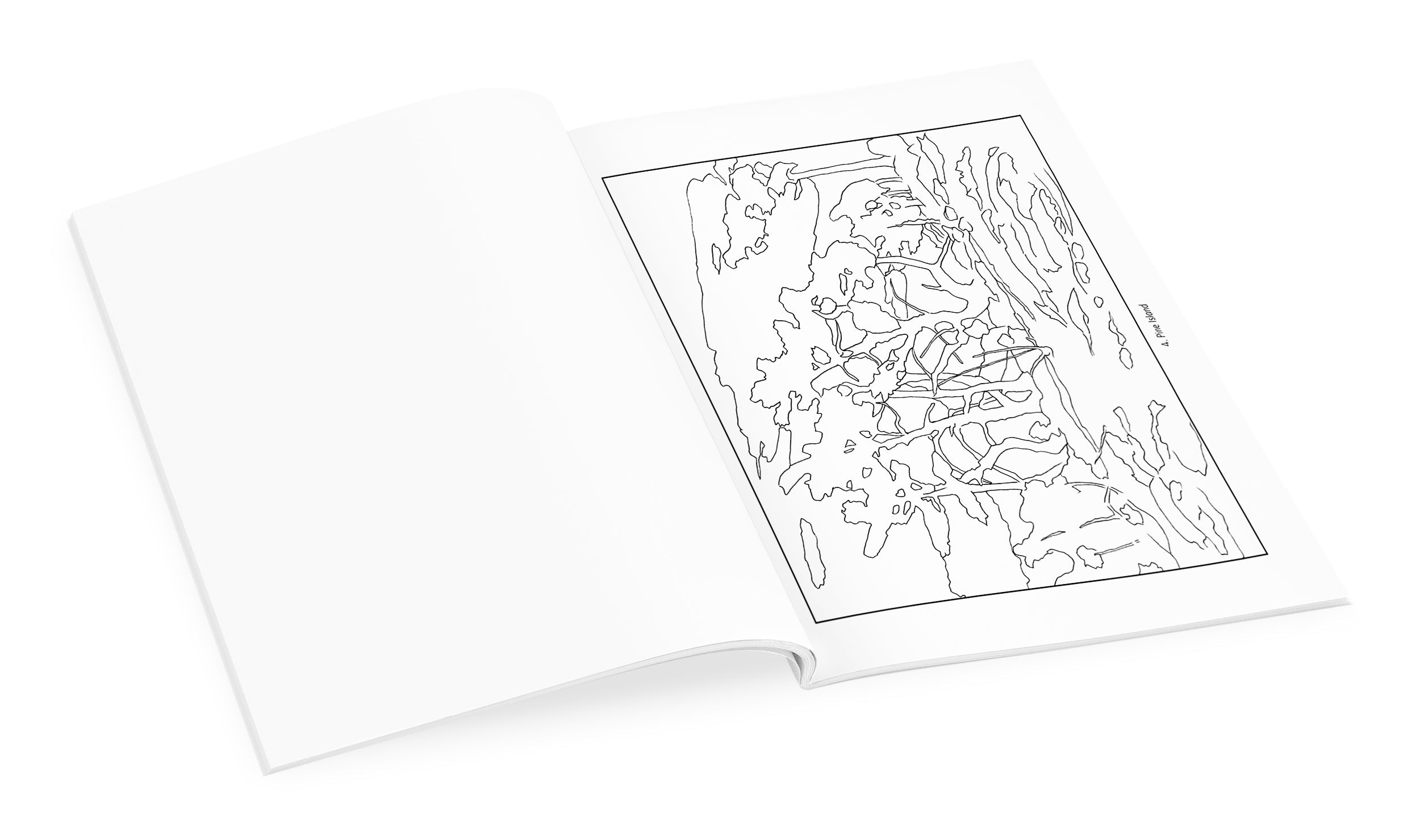 Tom Thomson Coloring Book