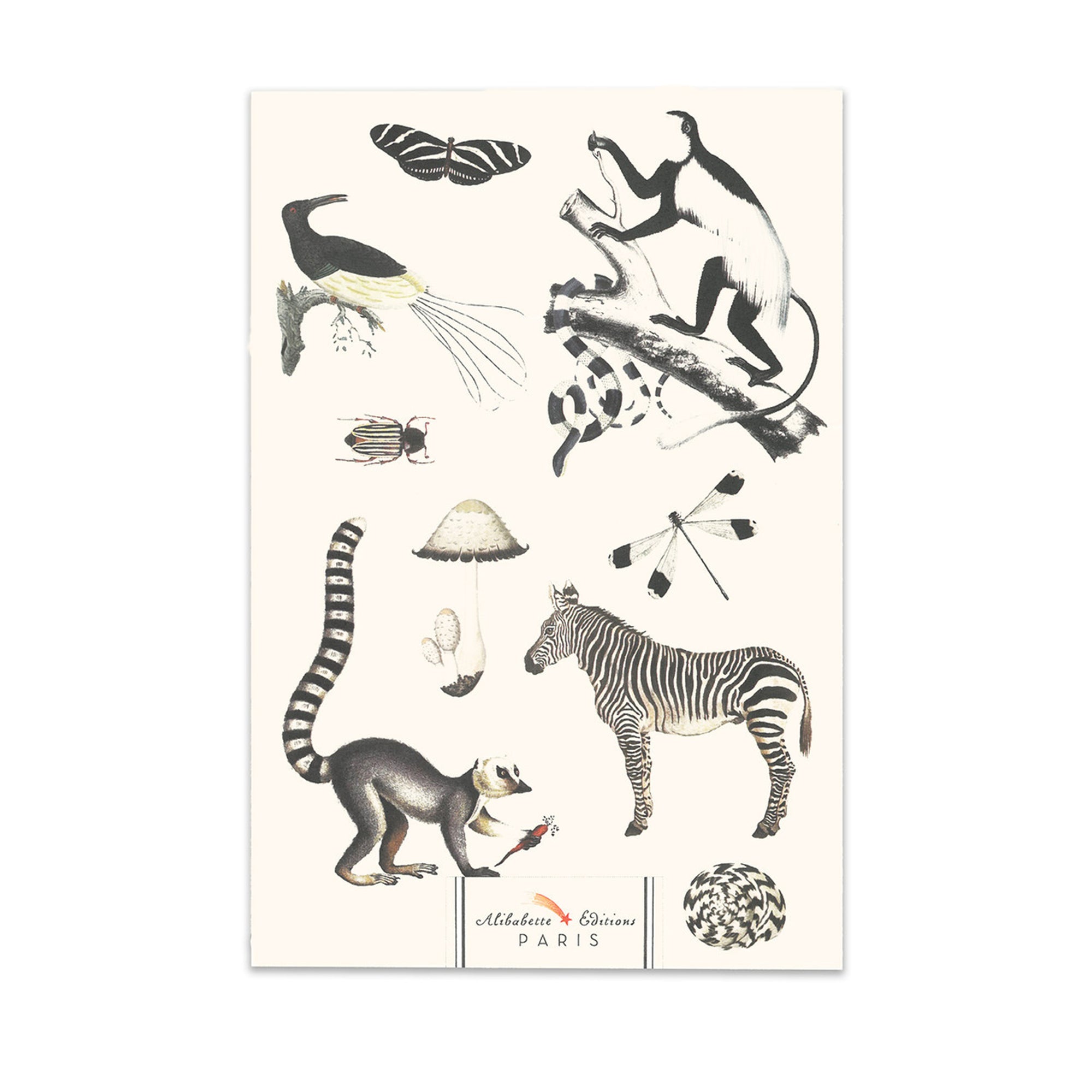 Alibabette Artbook A5 - Black & White - Noir et Blanc