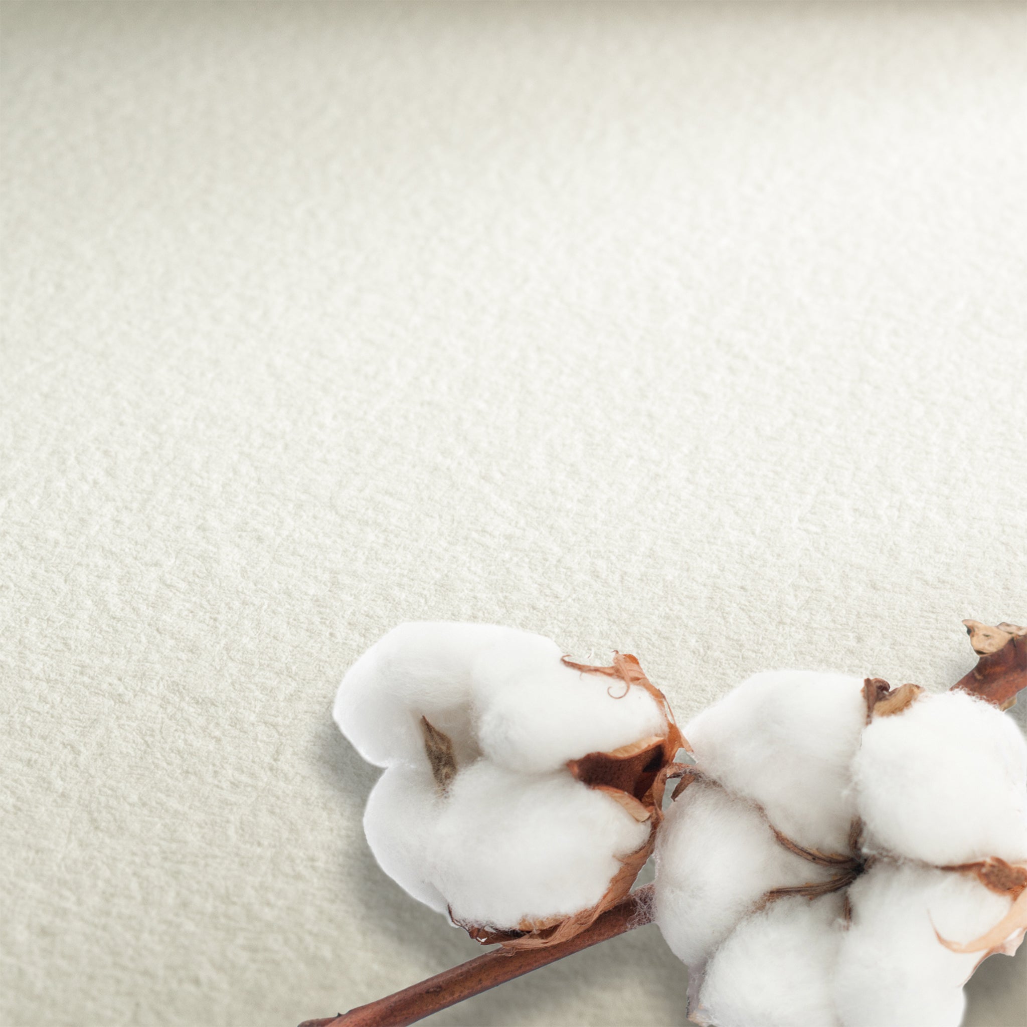 Hahnemühle® Collection Watercolour Paper Sheets - 300gsm 22" x 30"