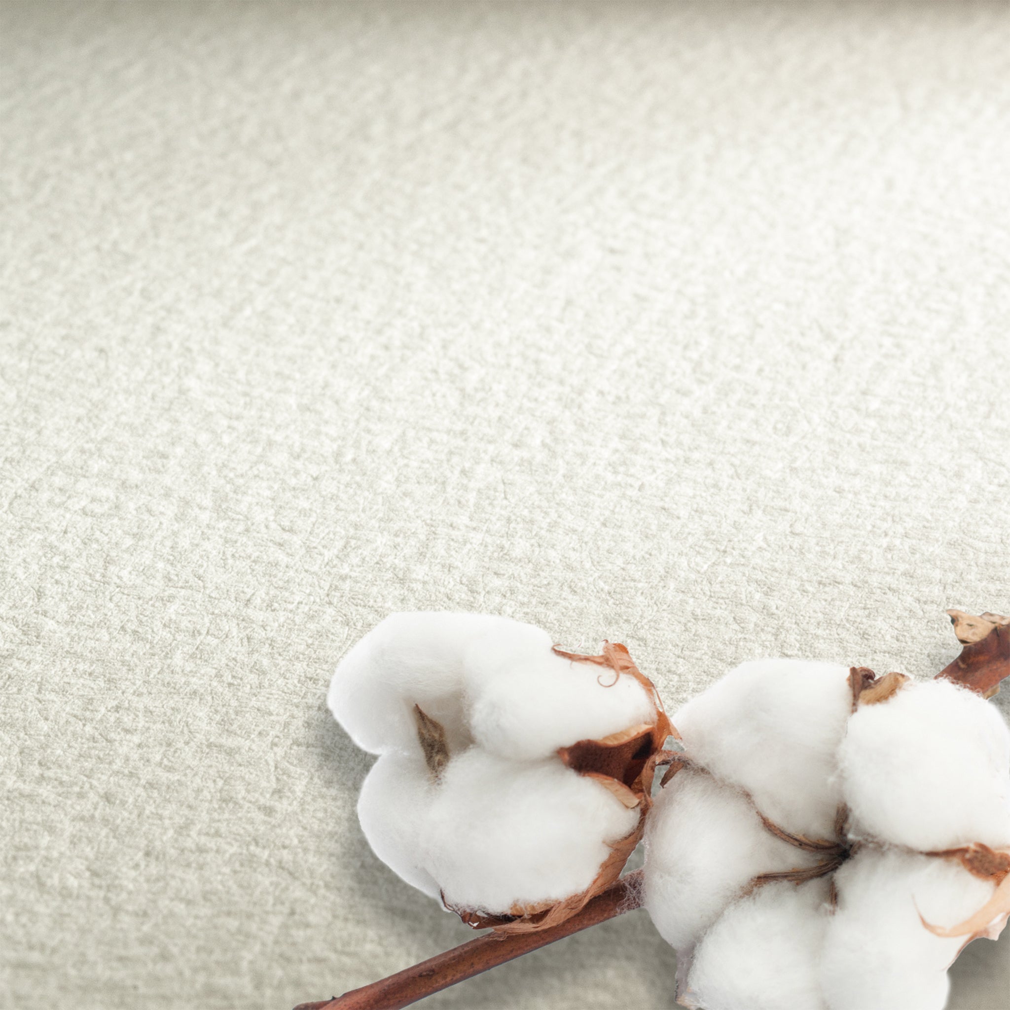 Hahnemühle® Collection Watercolour Paper Sheets - 300gsm 22" x 30"