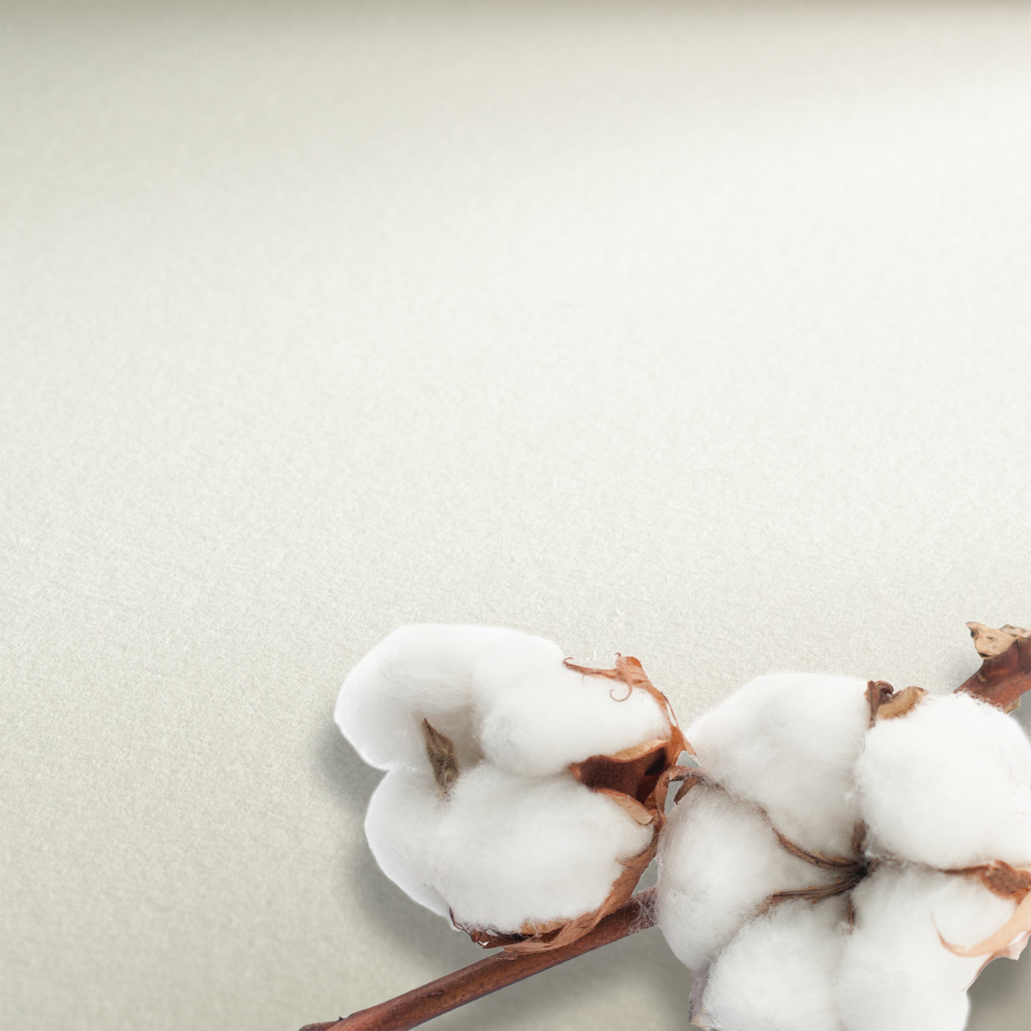 Hahnemühle® Collection Watercolour Paper Sheets - 300gsm 22" x 30"