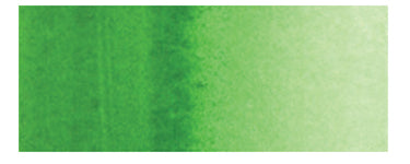 Holbein Artist's Watercolors - Brown or Green