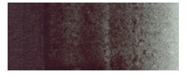 Holbein Artist's Watercolors - Brown or Green