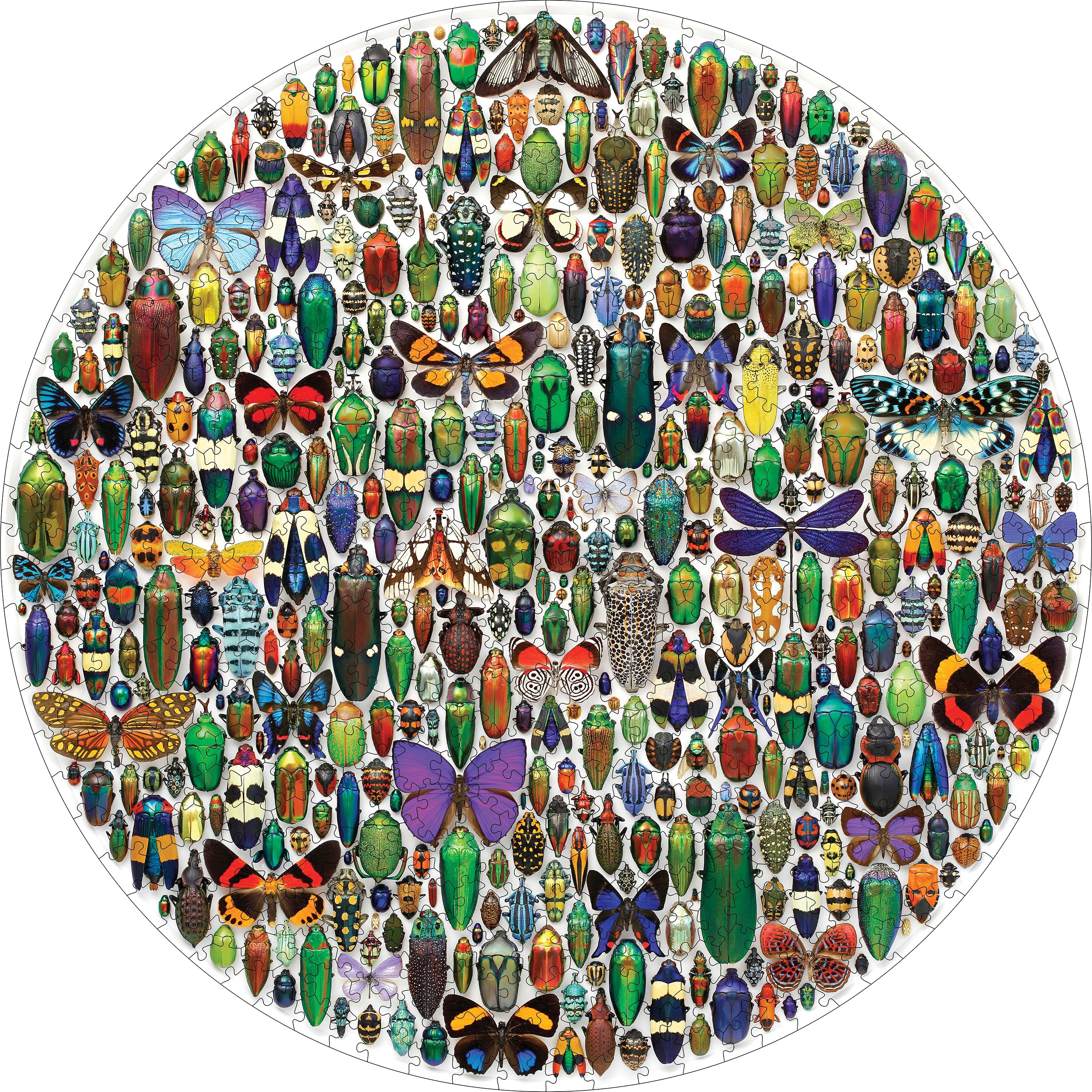 Christopher Marley: Macrocosm 500-Piece Circular Jigsaw Puzzle