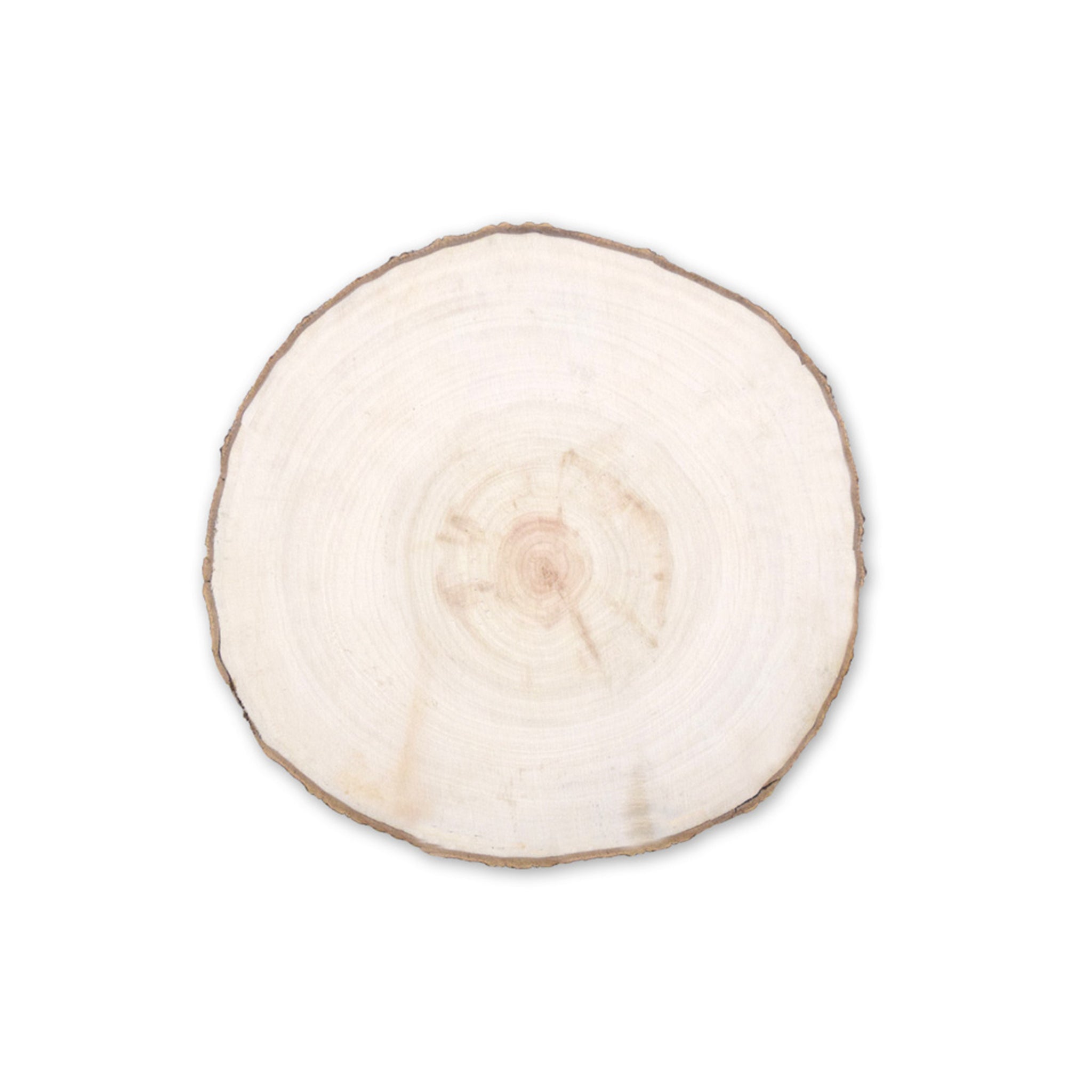 Wood Craft Willow Slice