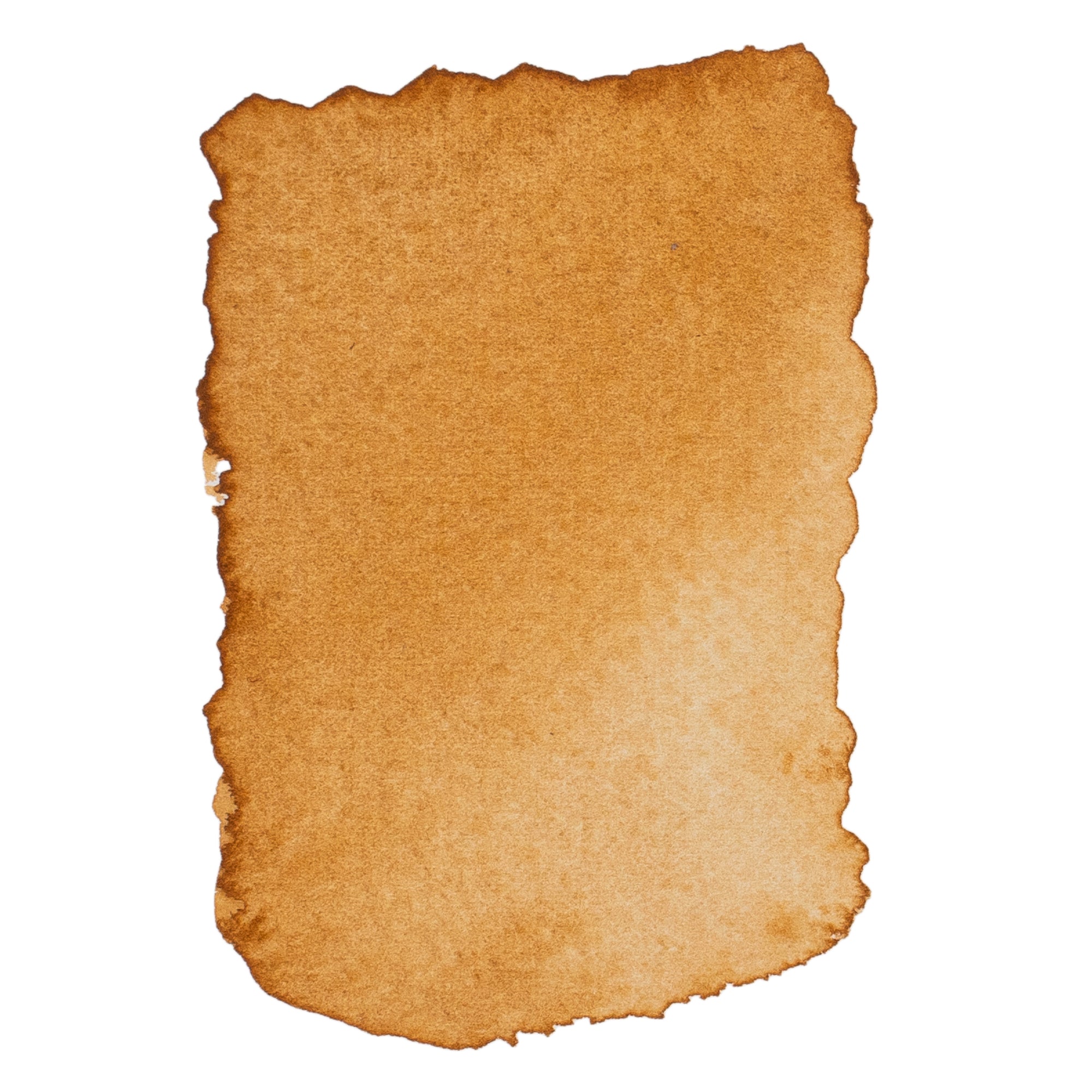 Opus Essential Watercolours - 8ml