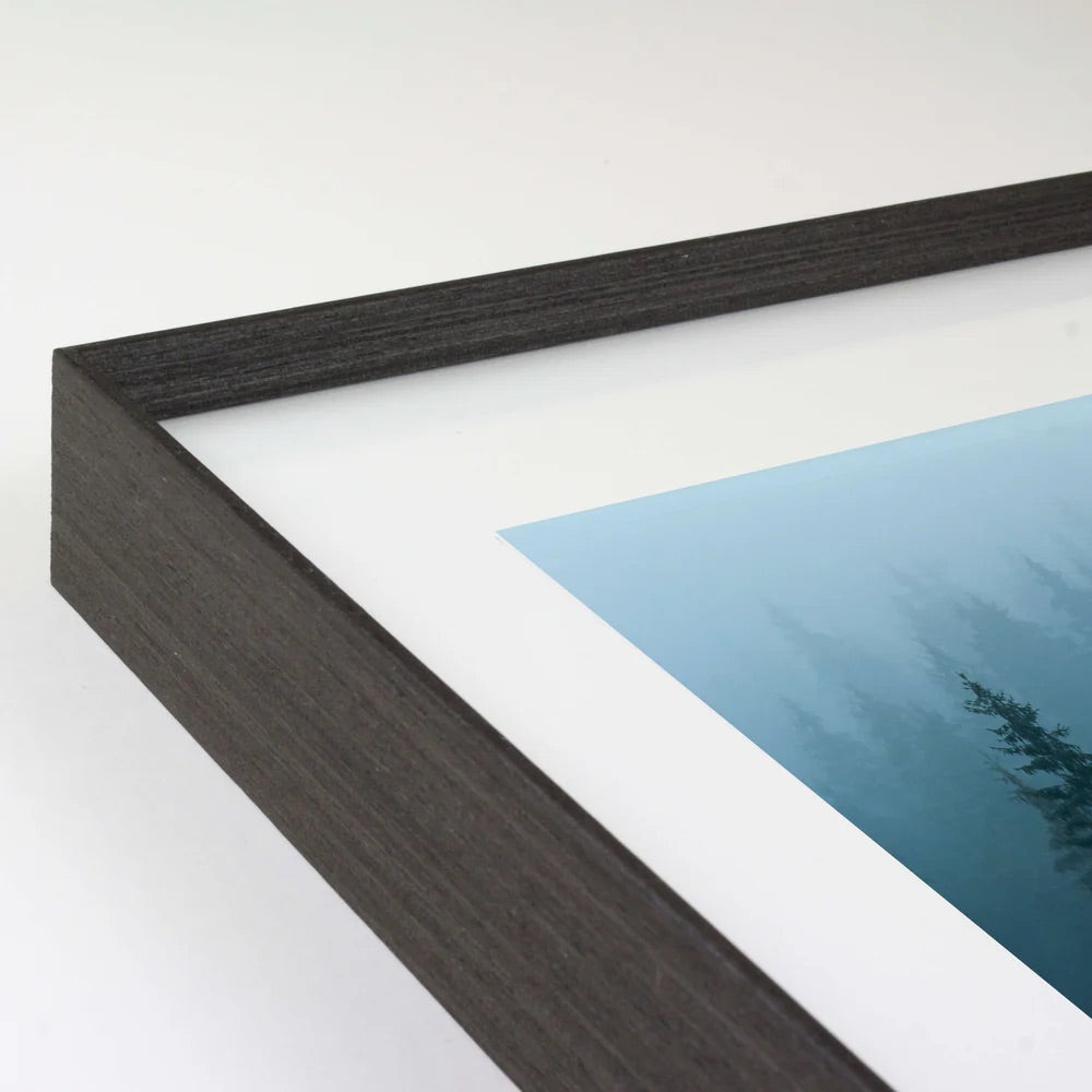 Cypress Frame Gallery Wall - Boulevard (Black)