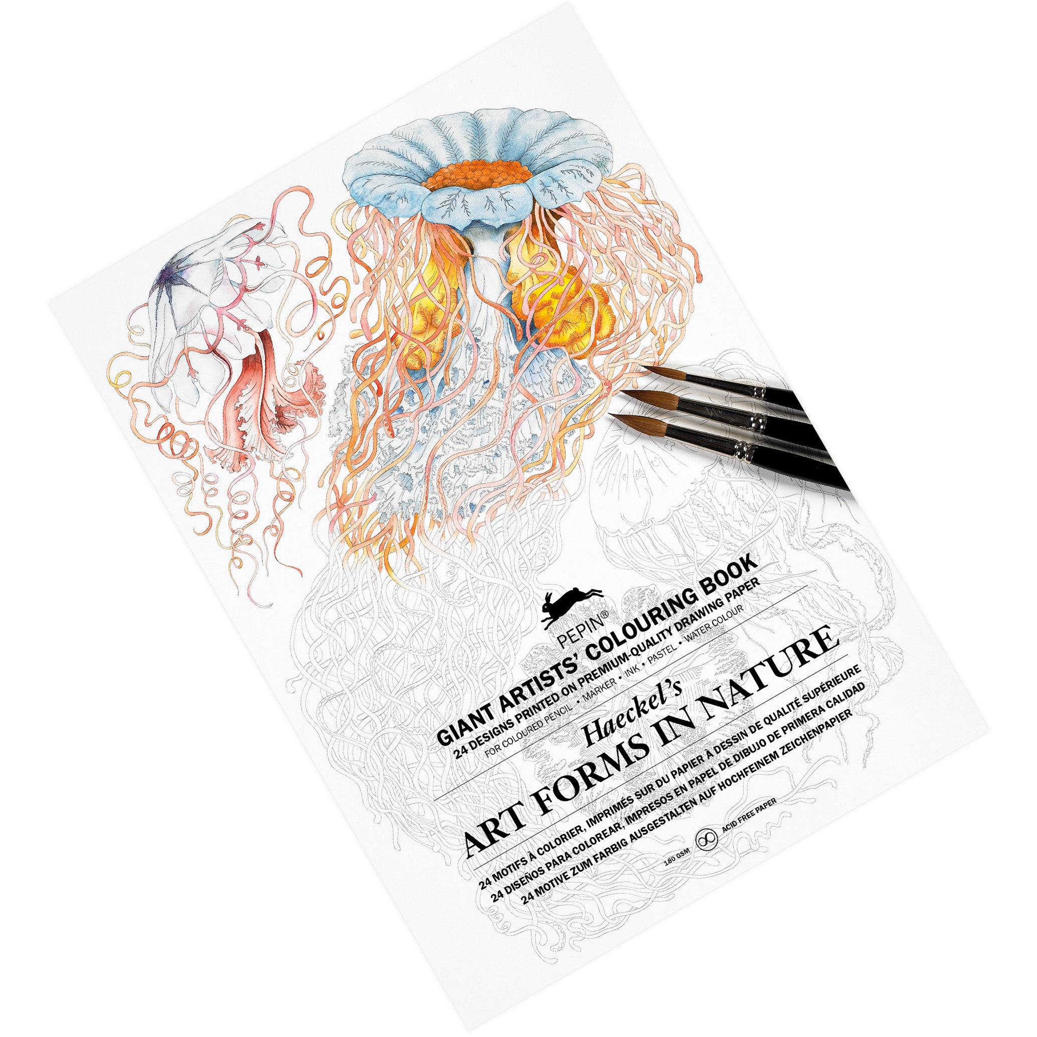 Pepin Press Giant Artists' Colouring Book - Haeckel's Art Forms in Nature