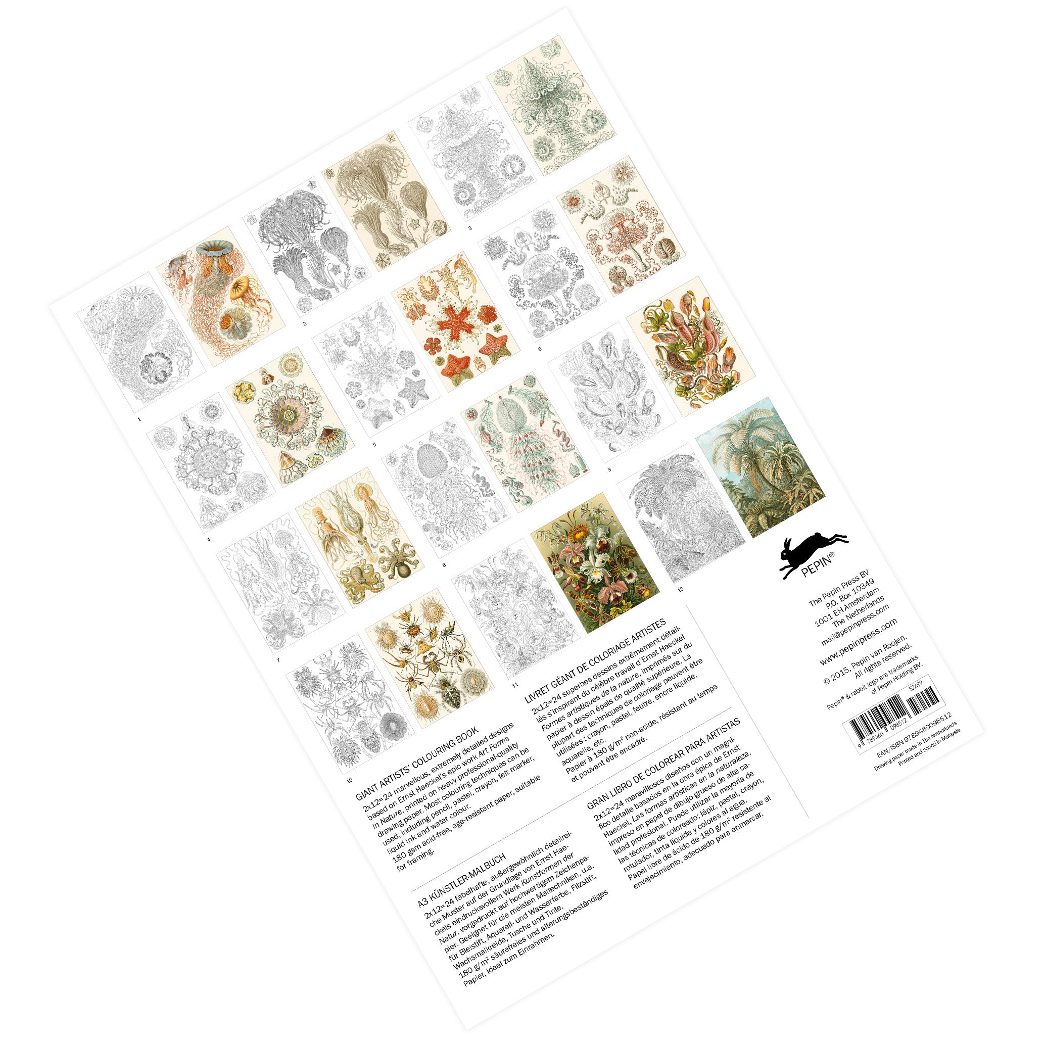 Pepin Press Giant Artists' Colouring Book - Haeckel's Art Forms in Nature
