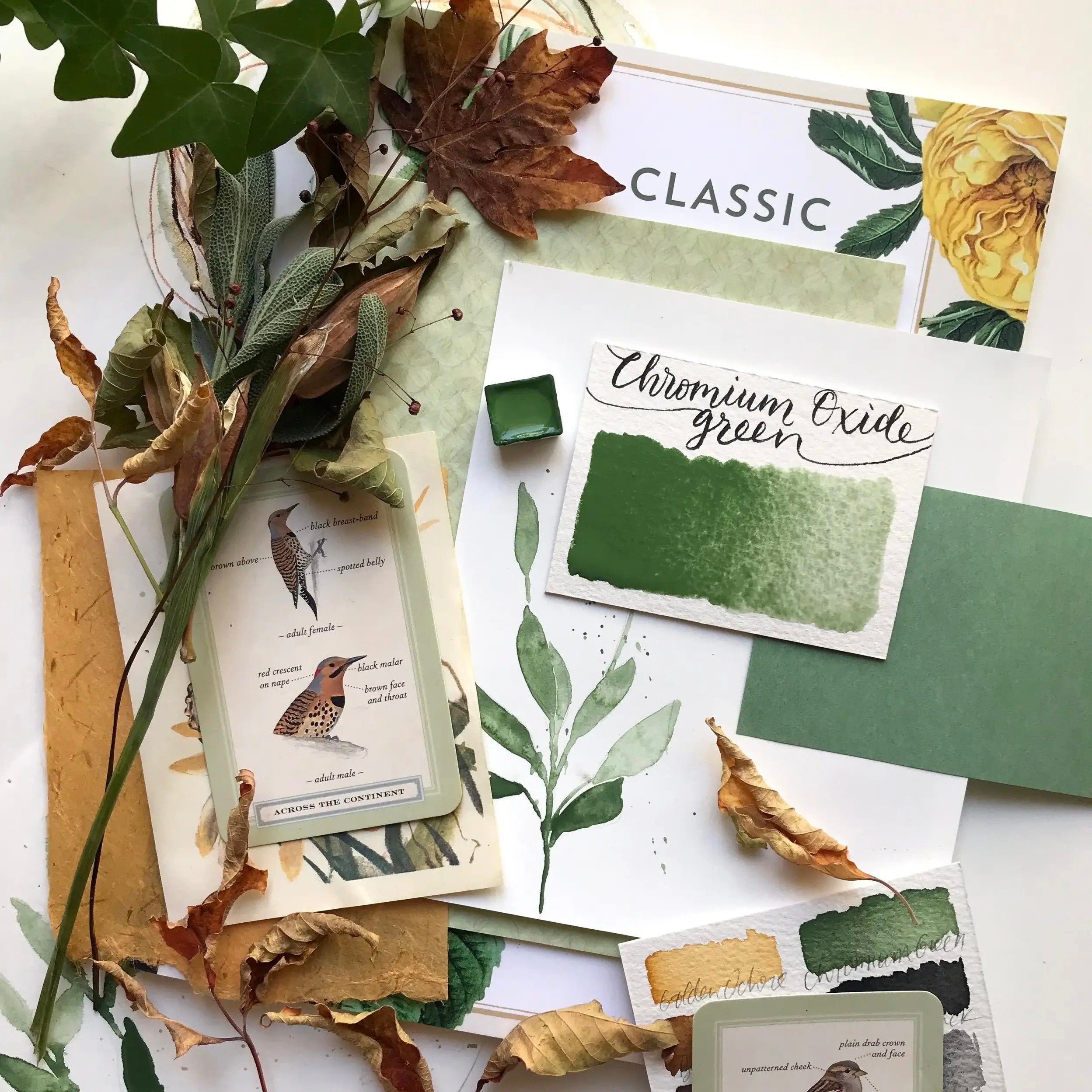 Stoneground Paint Co. Watercolour Half Pans