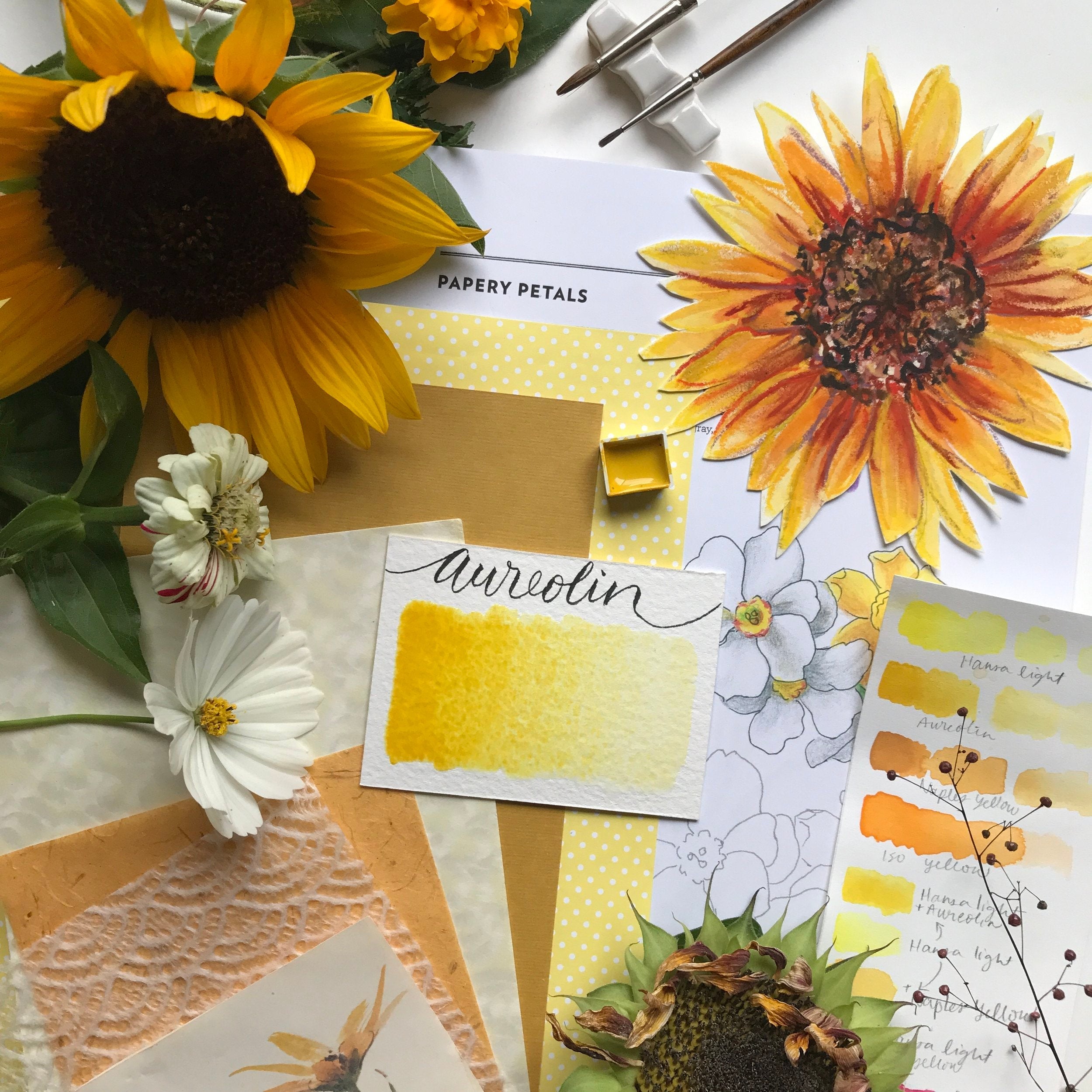 Stoneground Paint Co. Watercolour Half Pans