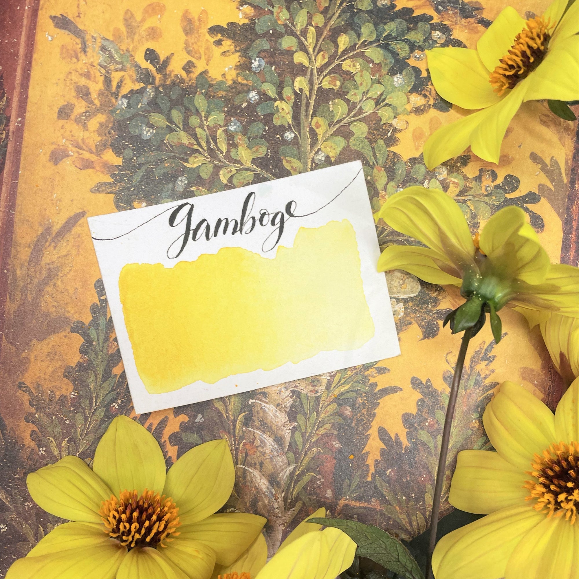 Stoneground Paint Co. Watercolour Half Pans