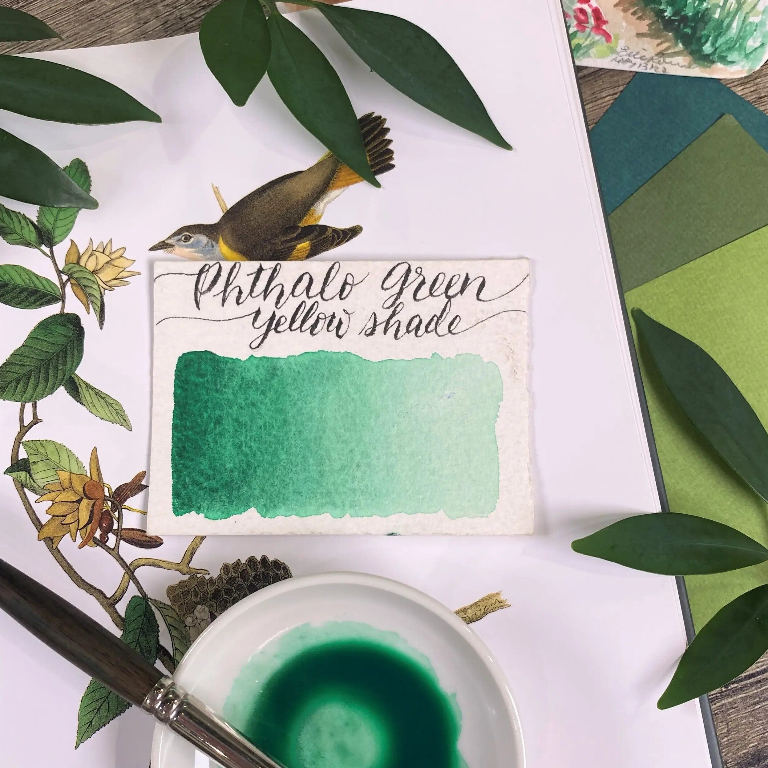 Stoneground Paint Co. Watercolour Half Pans