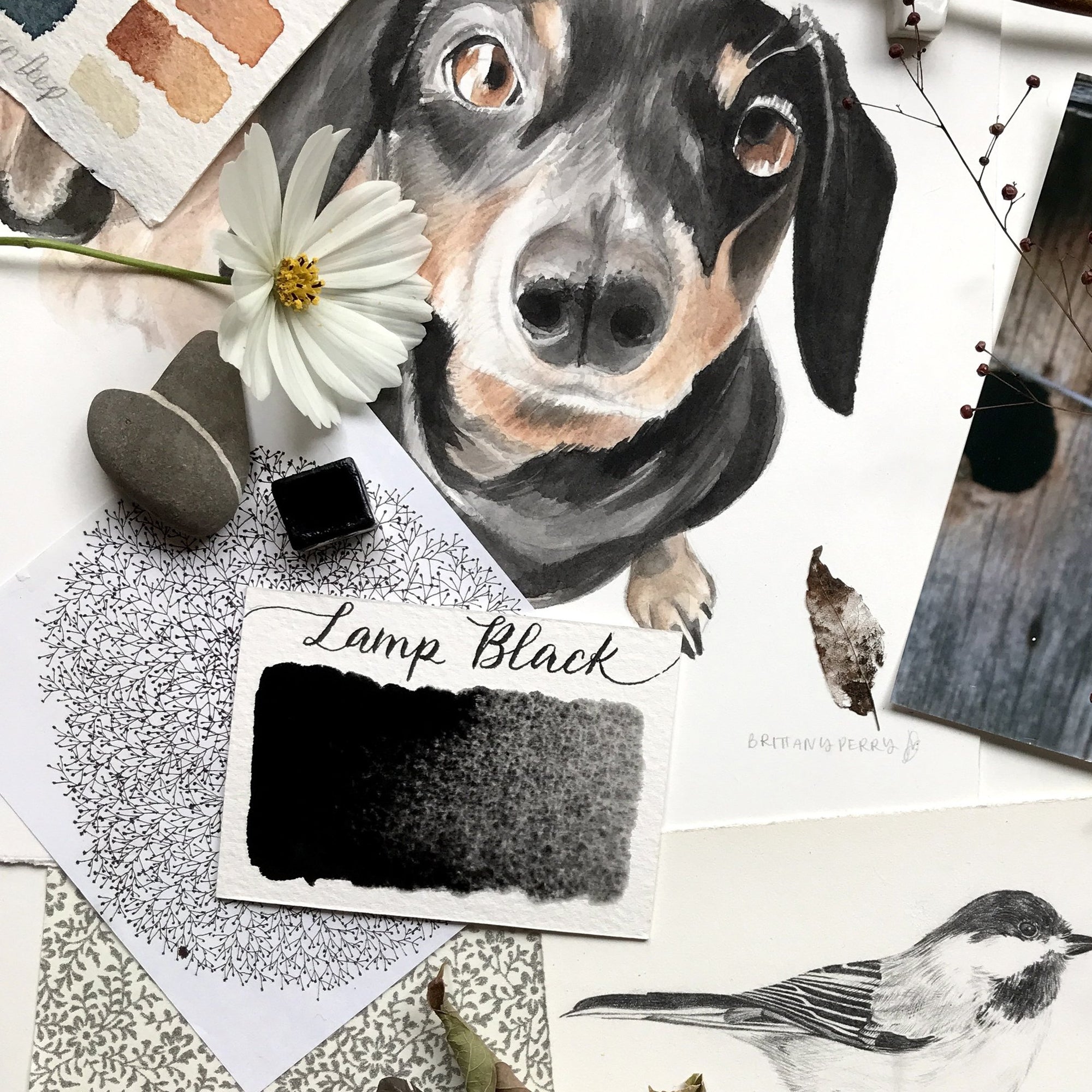 Stoneground Paint Co. Watercolour Half Pans