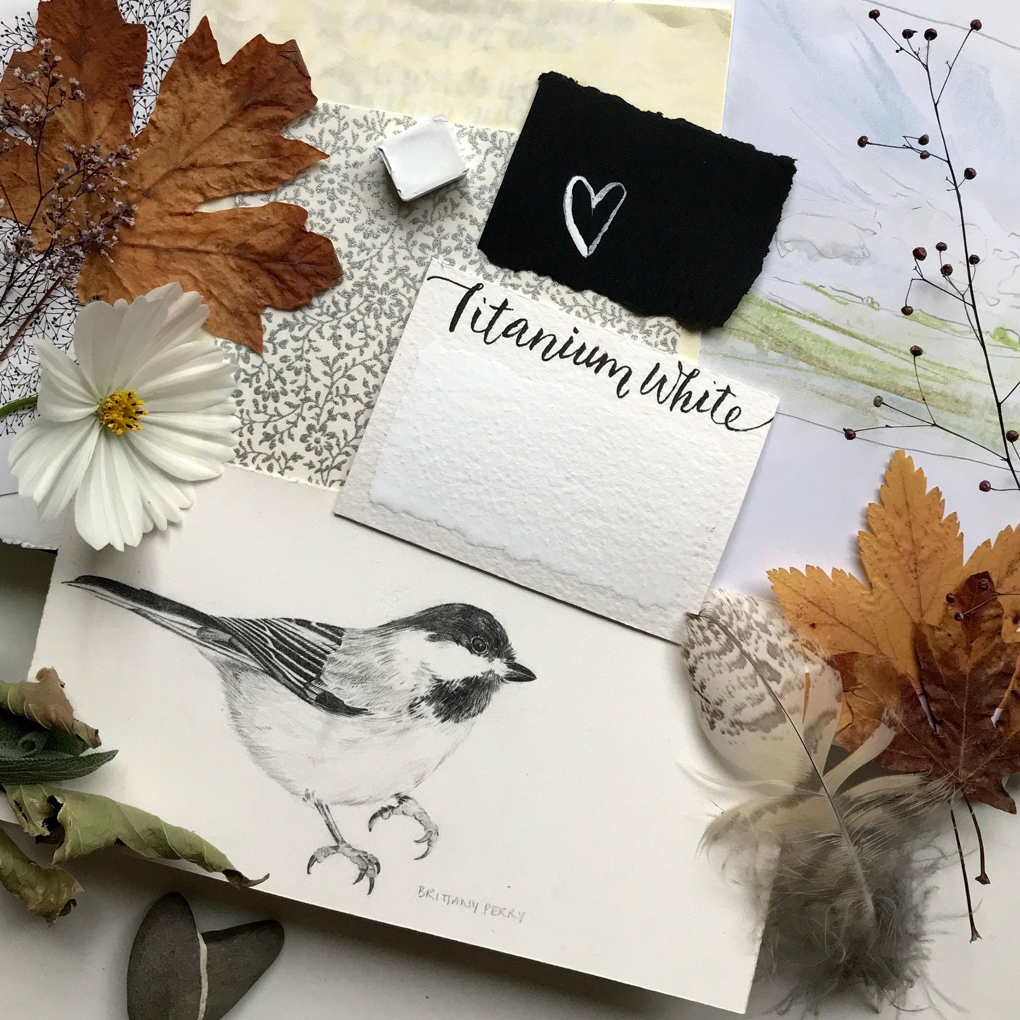 Stoneground Paint Co. Watercolour Half Pans