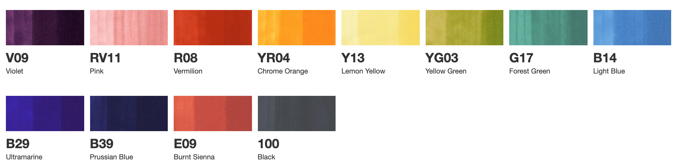 COPIC Sketch Marker Basic 12 Color Set