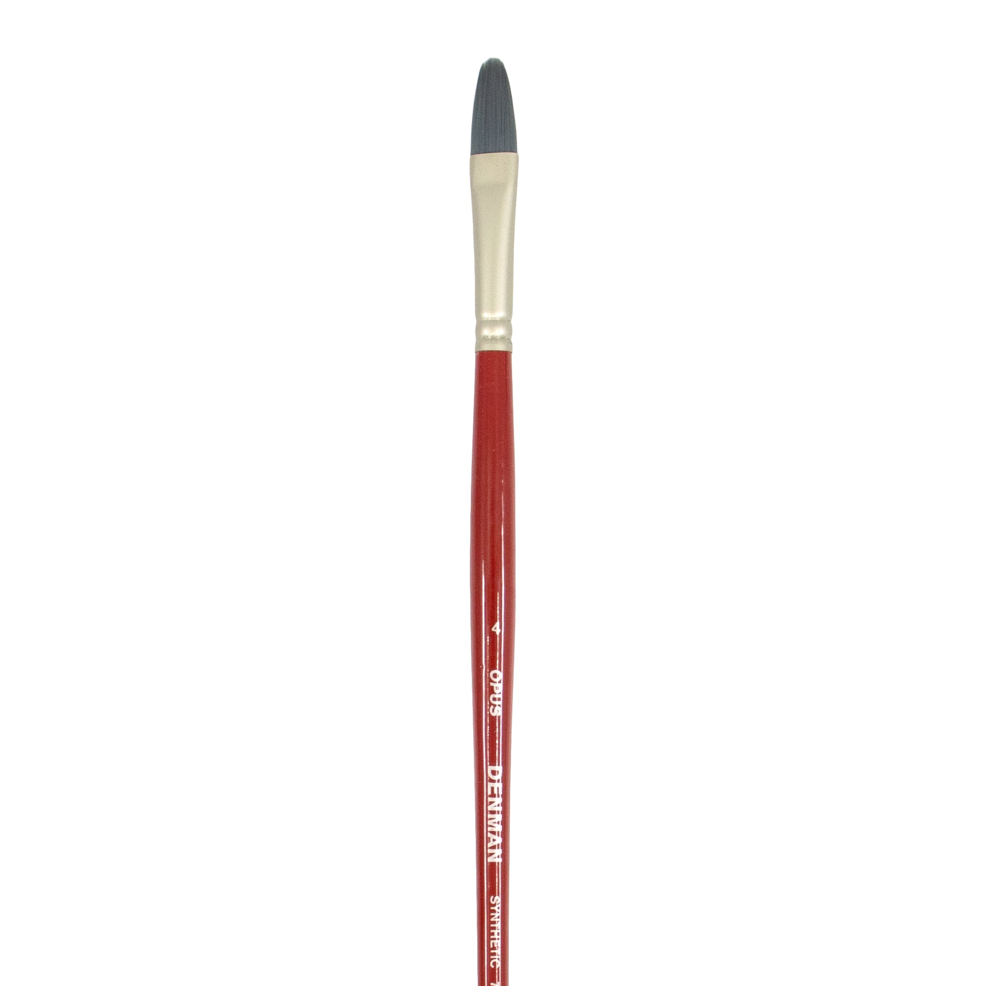 Opus Denman Acrylic Brushes Long Handle - Filbert