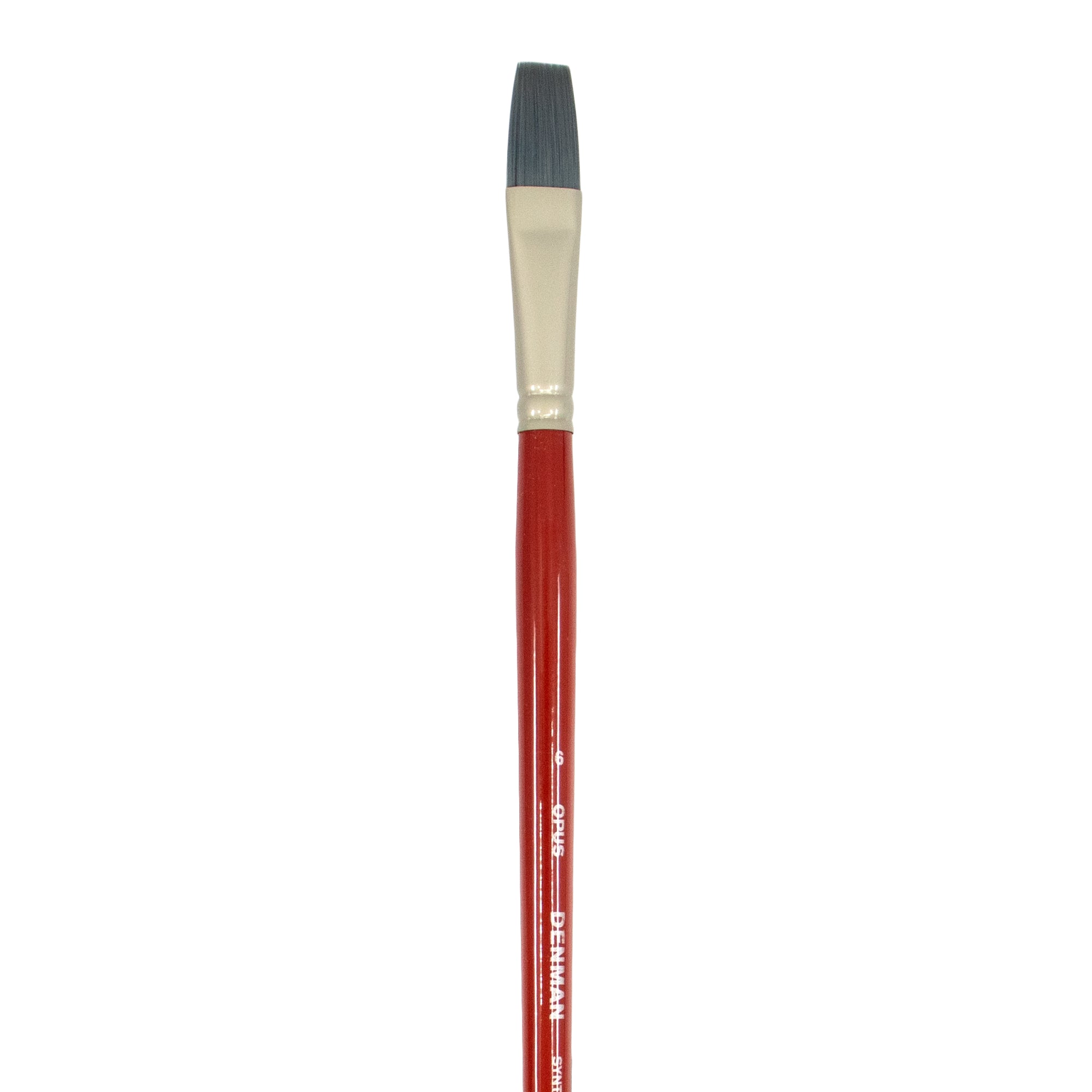 Opus Denman Long Handle Brushes