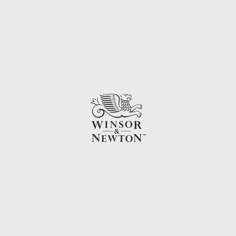 Winsor & Newton Artists' Oil Synthetic Brushes