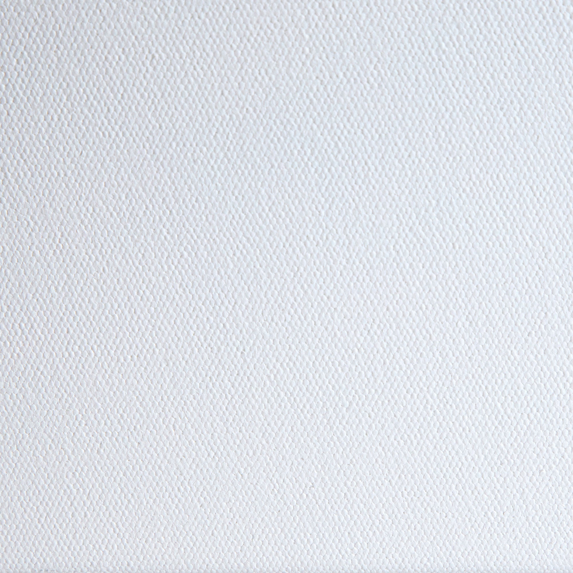 Liquitex Recycled Canvas - Deep