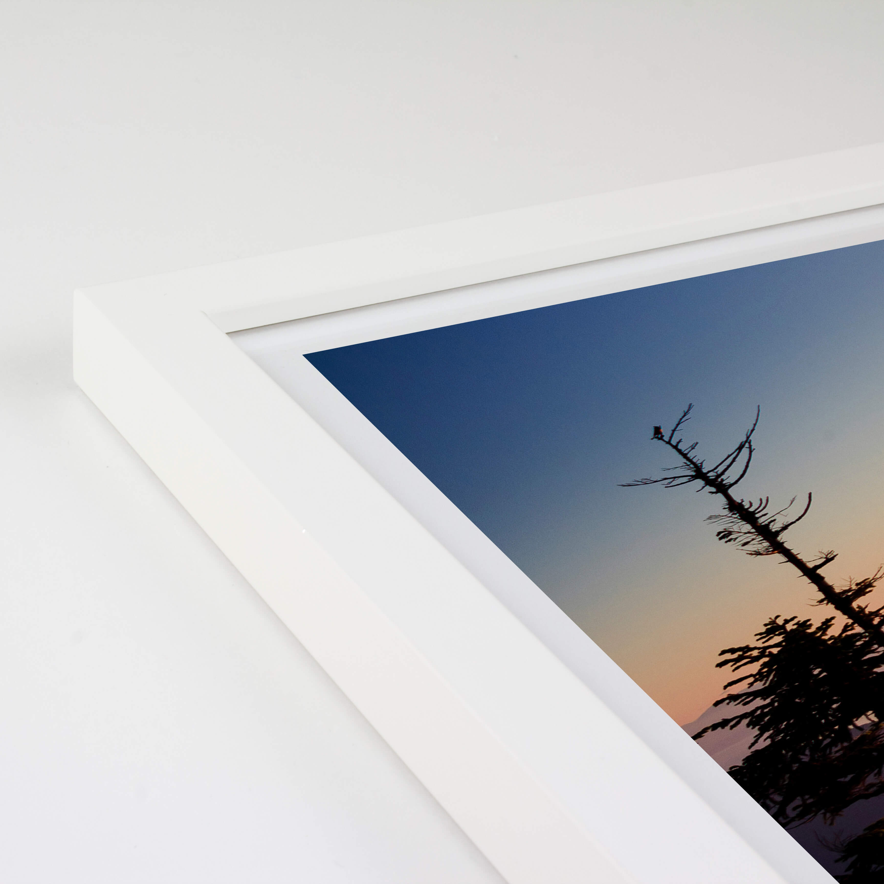 Opus Bowen Frames (Reg Glass) - White