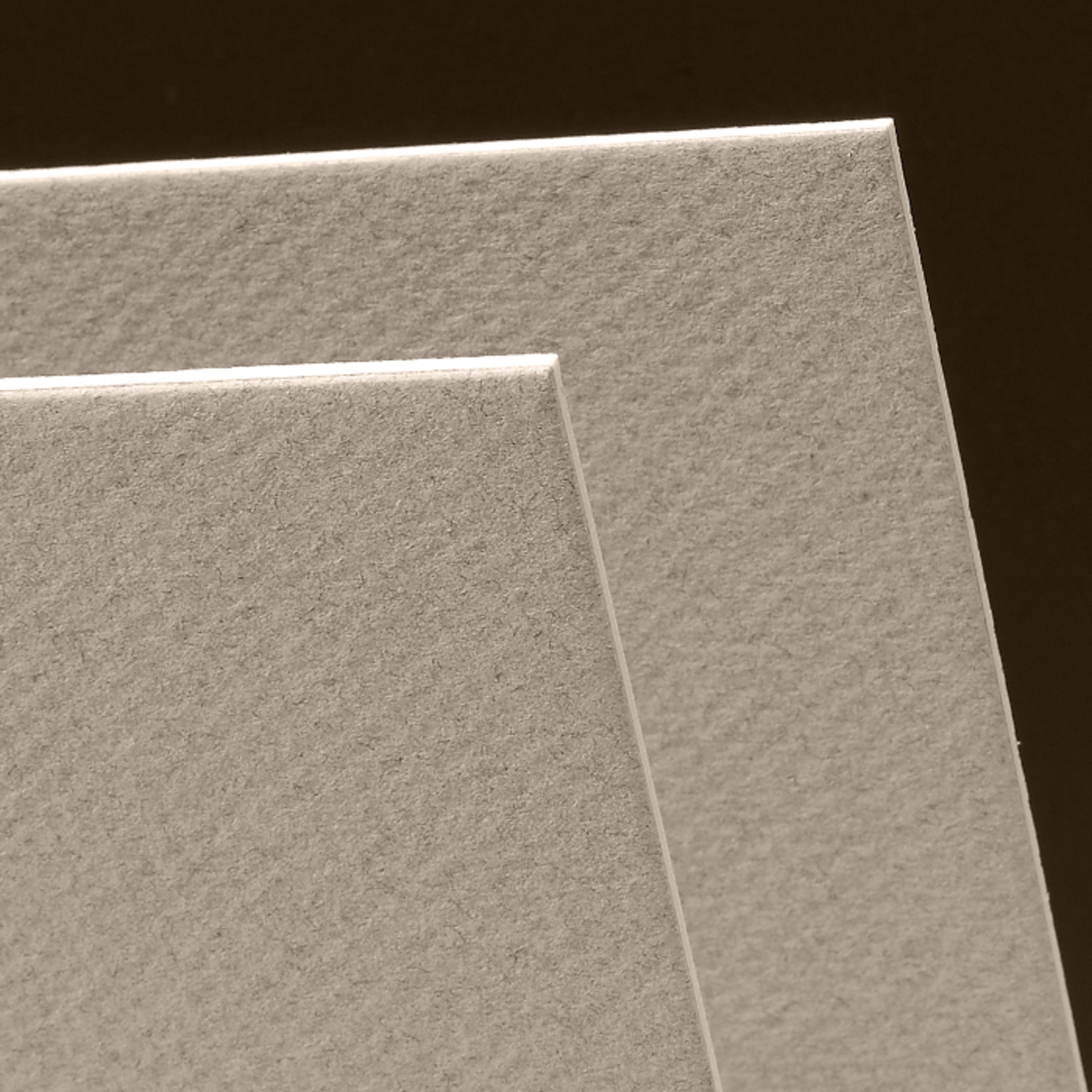 Canson Mi-Teintes Art Board 16" x 20"