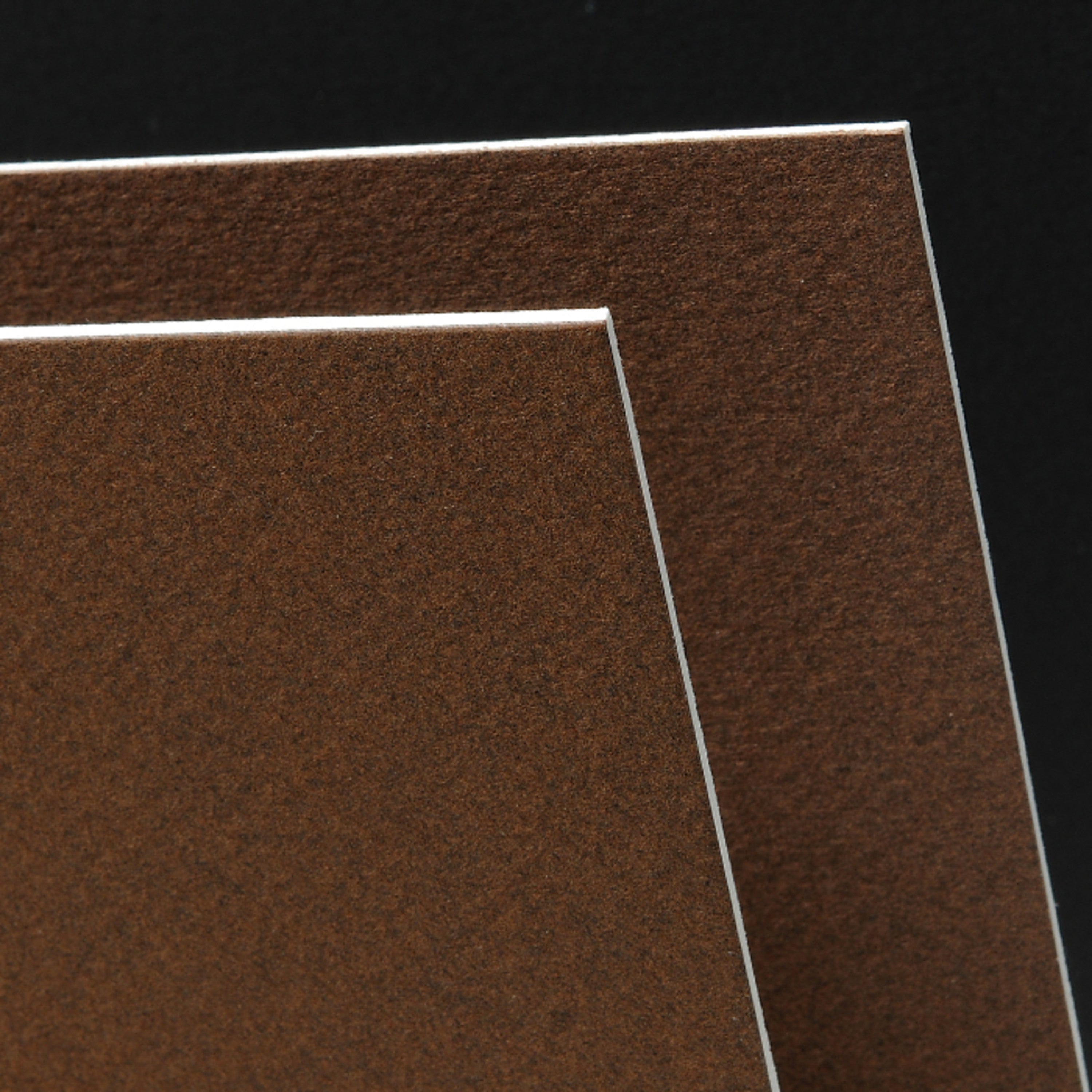 Canson Mi-Teintes Art Board 16" x 20"