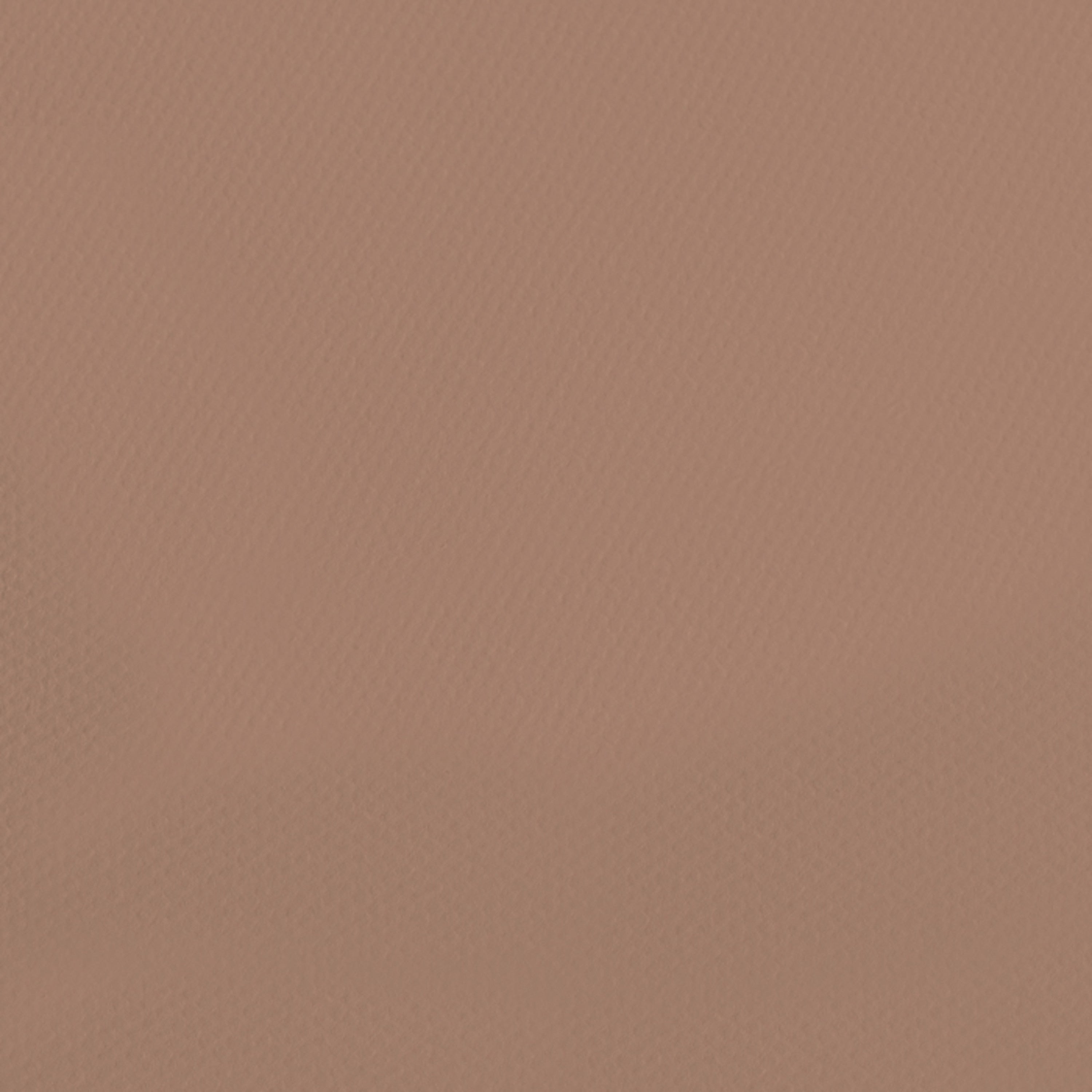 Canson Mi-Teintes Pastel Papers - 19" x 25"