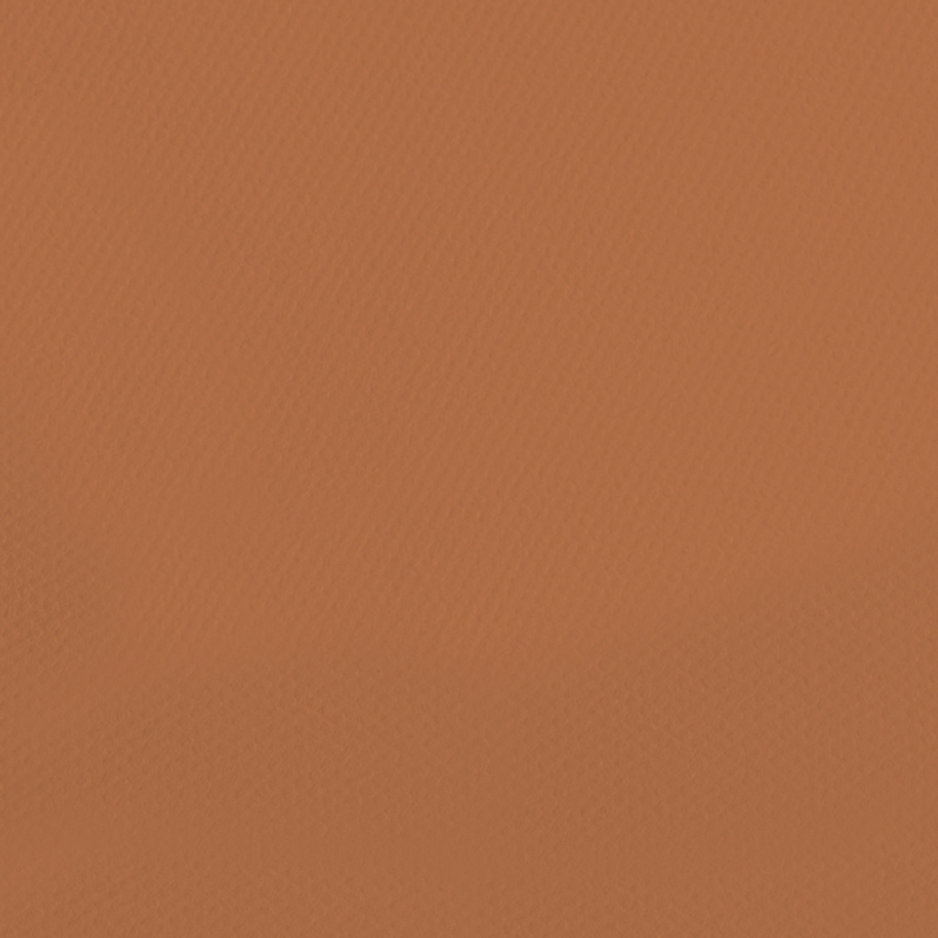 Canson Mi-Teintes Pastel Papers - 19" x 25"