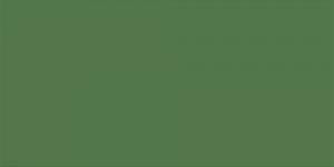 Caran d'Ache Luminance 6901® Colour Pencils - Brown or Green