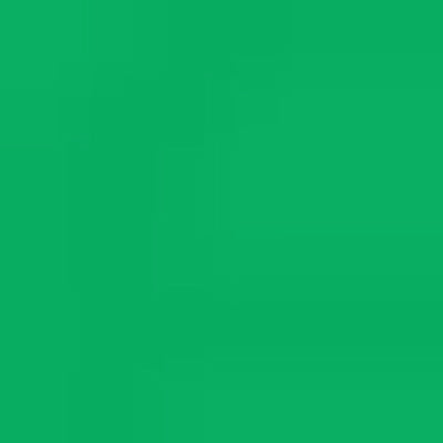 Caran d'Ache Luminance 6901® Colour Pencils - Brown or Green