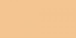 Caran d'Ache Luminance 6901® Colour Pencils - Brown or Green