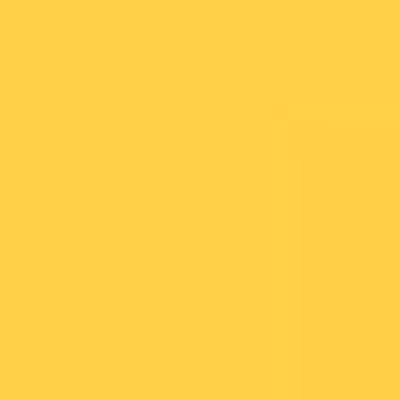 Caran d'Ache Neocolor II - White or Yellow