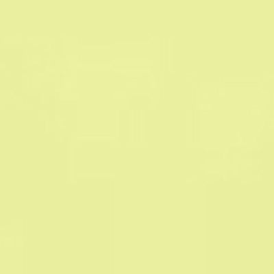 Caran d'Ache Neocolor II - White or Yellow